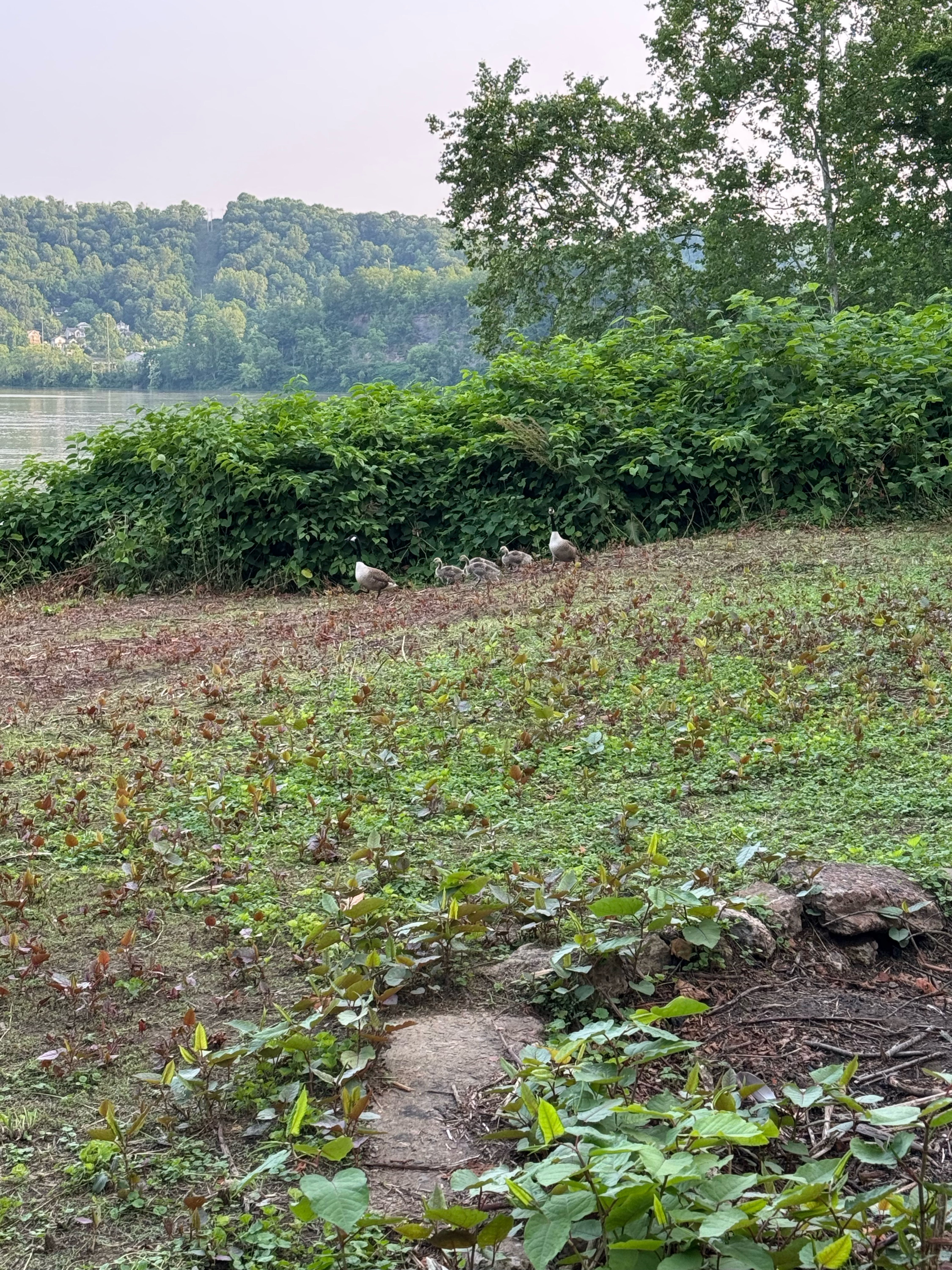 Ohio River Scenic Byway, Steubenville to Woodmont Ave, Steubenville