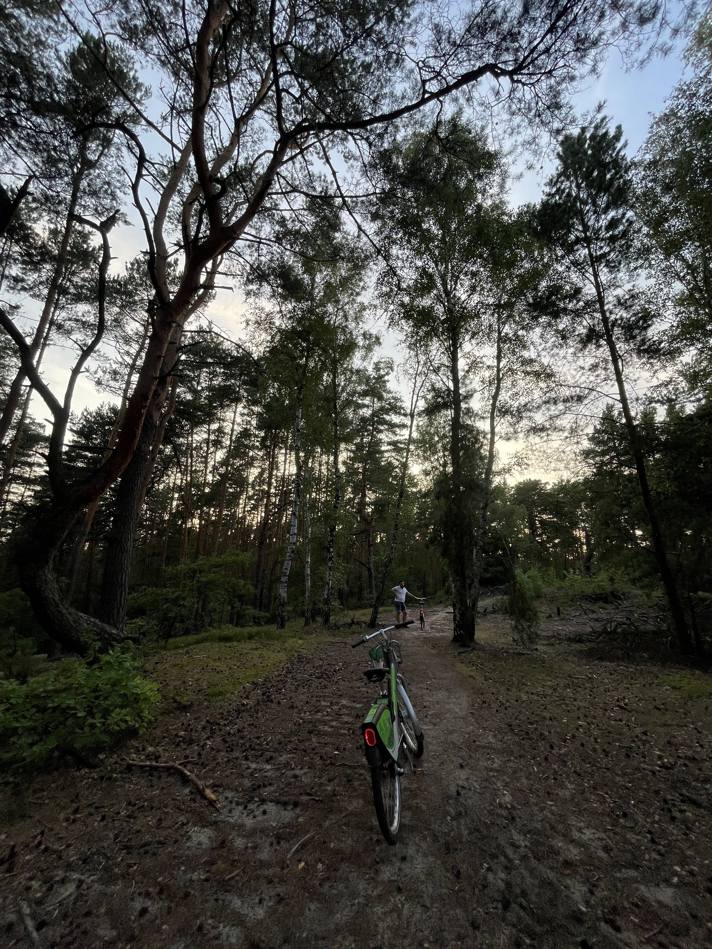 Gabriela Narutowicza, Otwock do Gabriela Narutowicza, Otwock