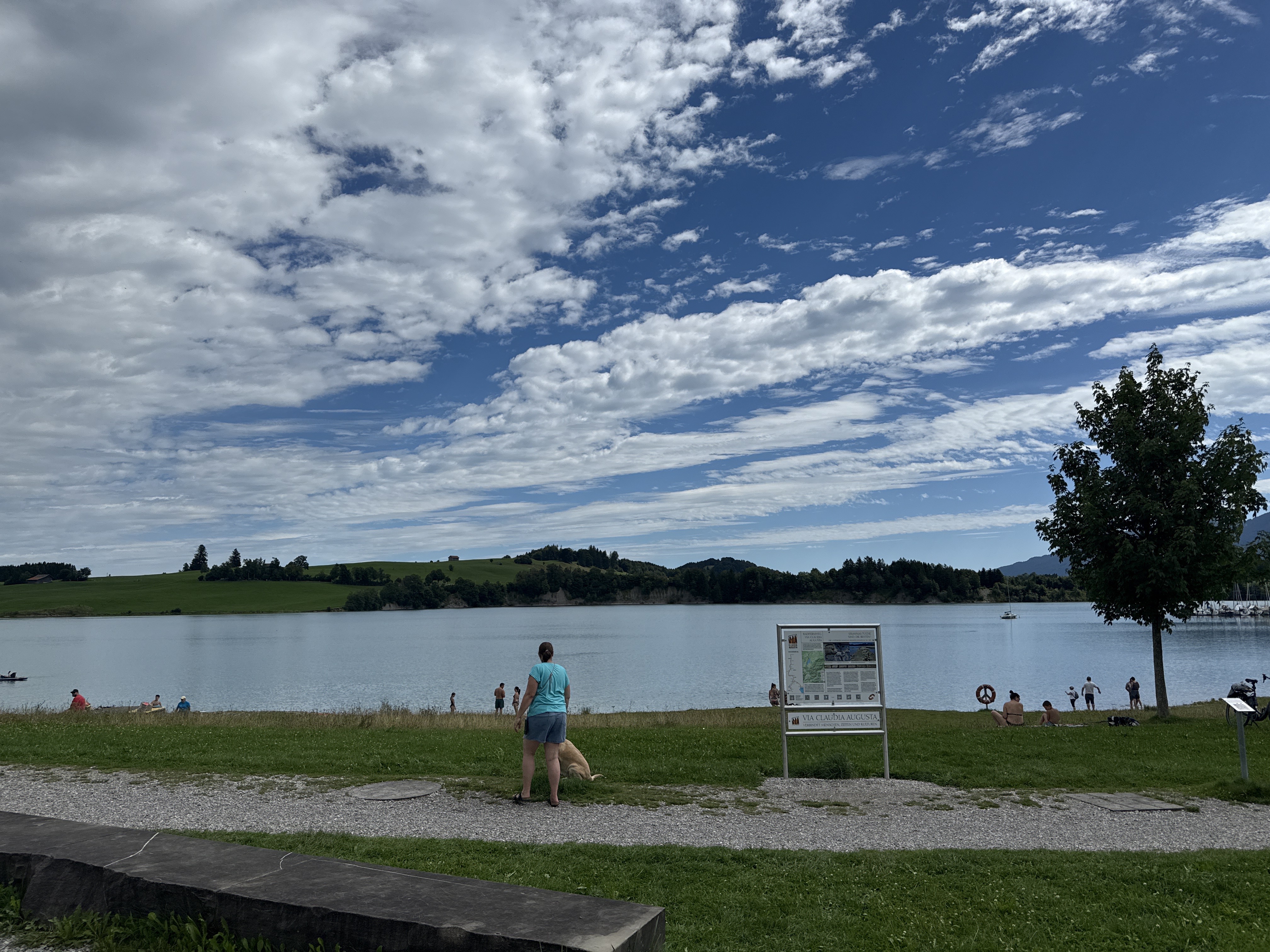 Foto 5 del percorso Bikemap "Alpseestraße, Schwangau nach Frauenbergstraße, Schwangau" Foto 5 del percorso Bikemap "Alpseestraße, Schwangau nach Frauenbergstraße, Schwangau"
