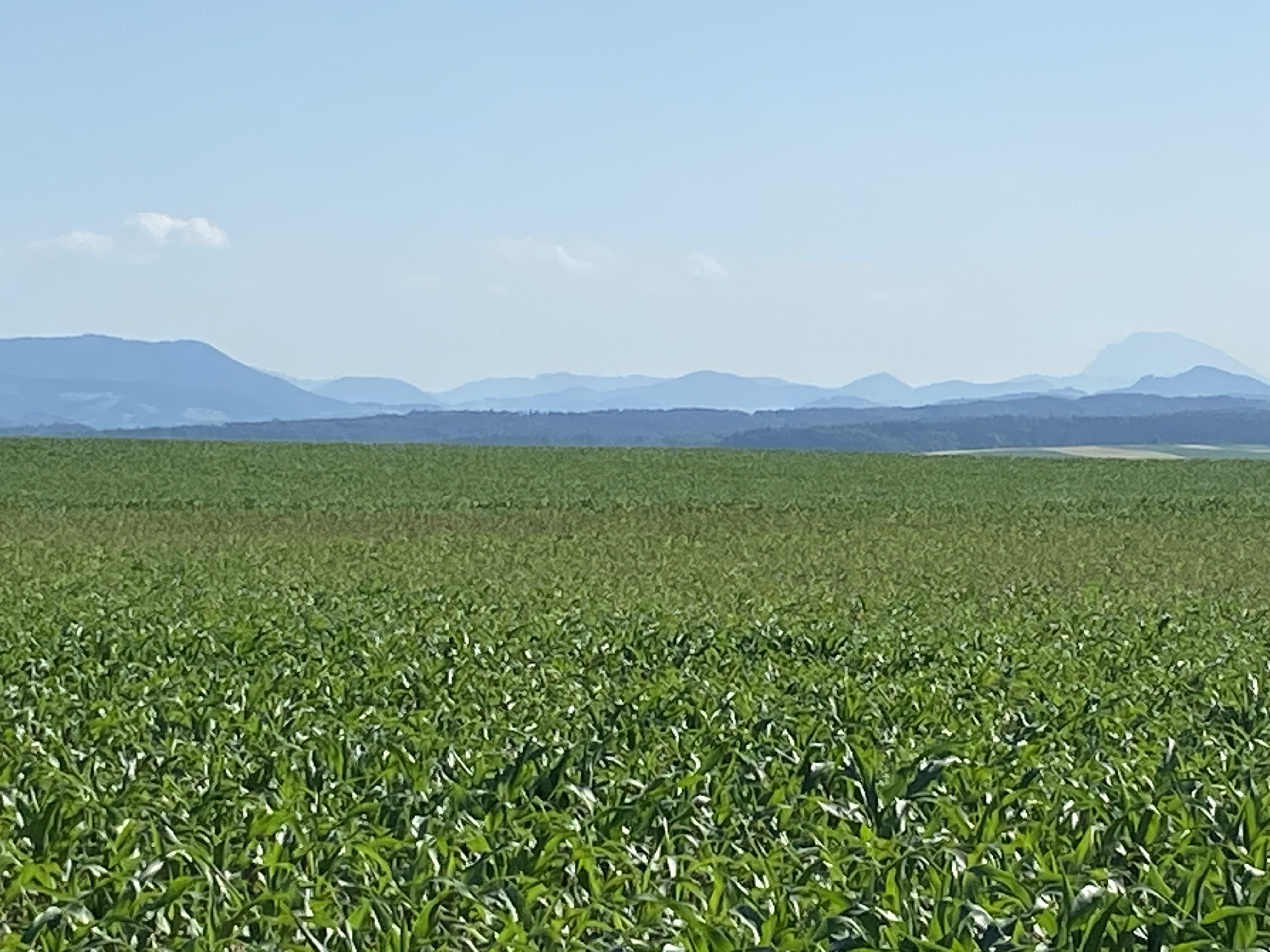 Foto 7 der Bikemap-Route "Dannebergstraße, Sankt Pölten nach Dannebergstraße, Sankt Pölten" Foto 7 der Bikemap-Route "Dannebergstraße, Sankt Pölten nach Dannebergstraße, Sankt Pölten"