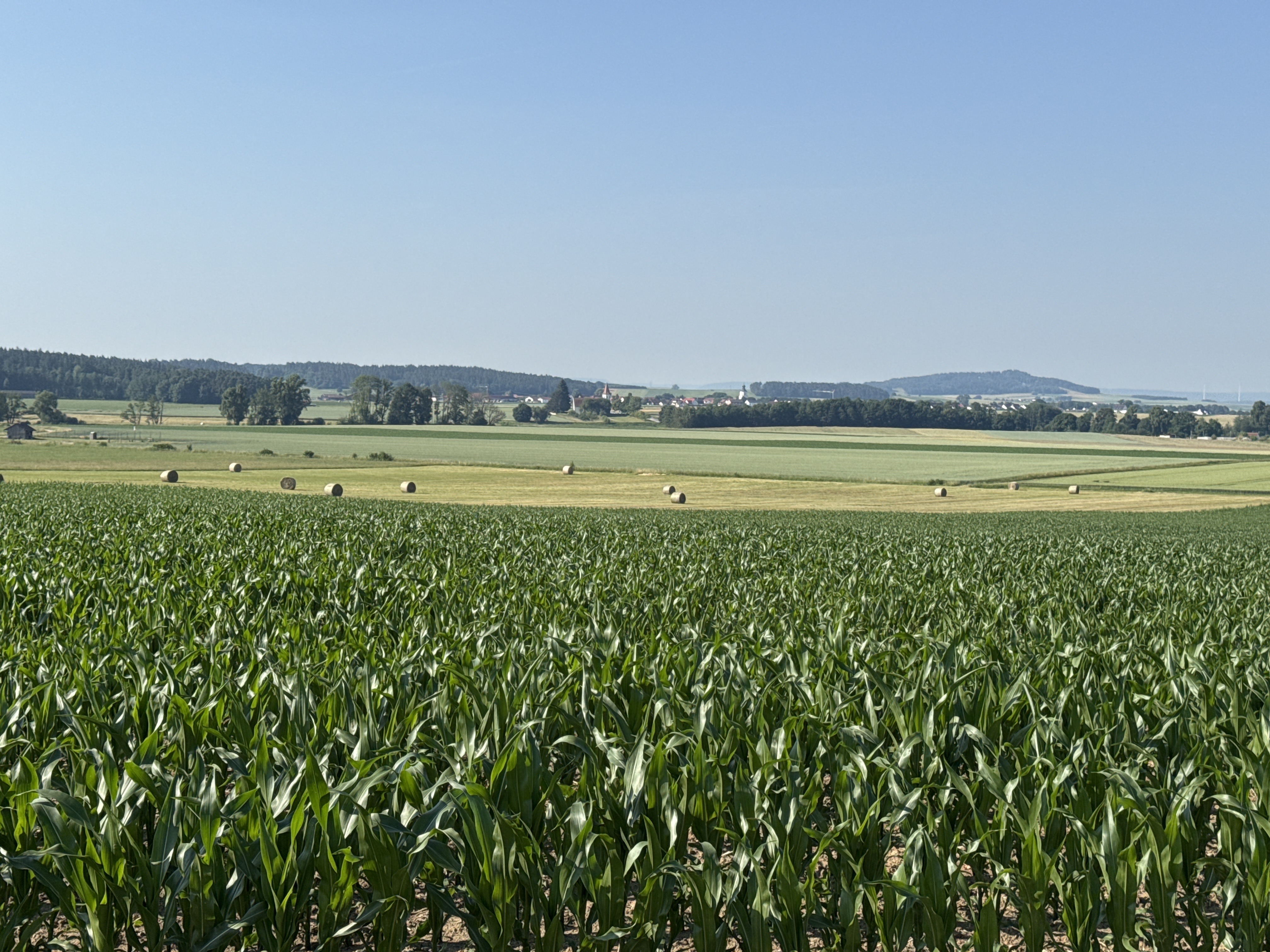 Foto 4 der Bikemap-Route "Mussinanstraße, Neumarkt in der Oberpfalz nach Mussinanstraße, Neumarkt in der Oberpfalz" Foto 4 der Bikemap-Route "Mussinanstraße, Neumarkt in der Oberpfalz nach Mussinanstraße, Neumarkt in der Oberpfalz"