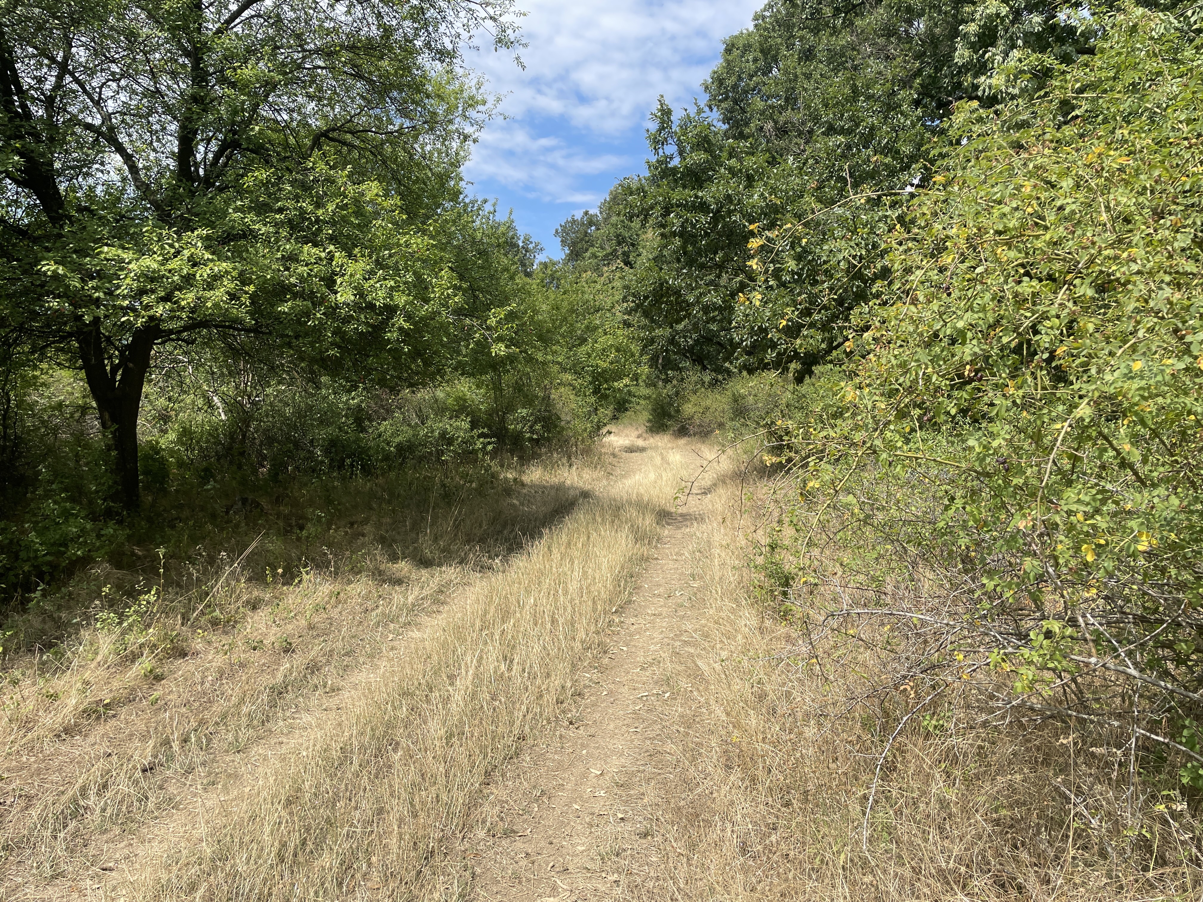 Balaton felvidéki bringatúra (4 Évszak túra)