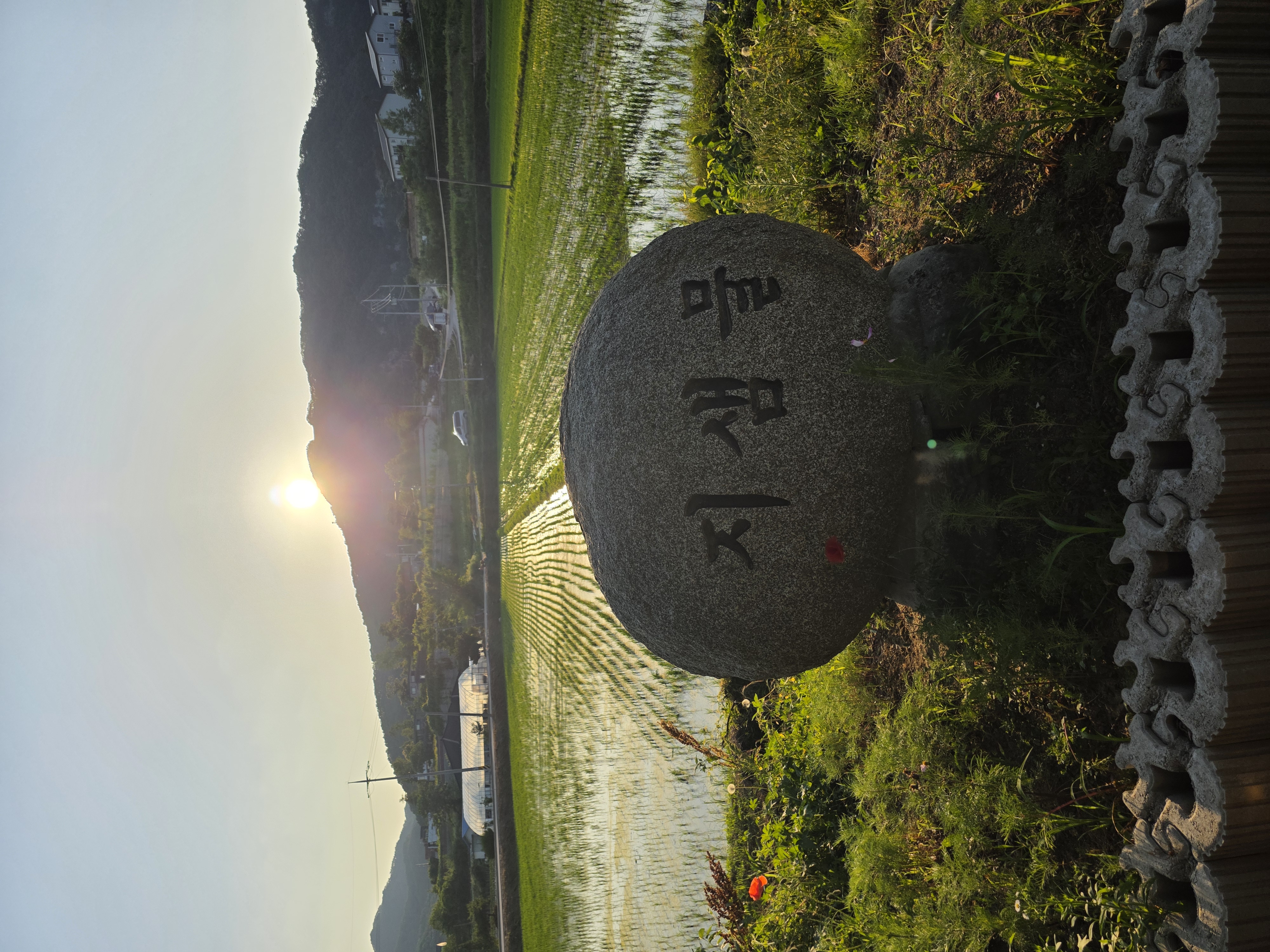 250614토 산책