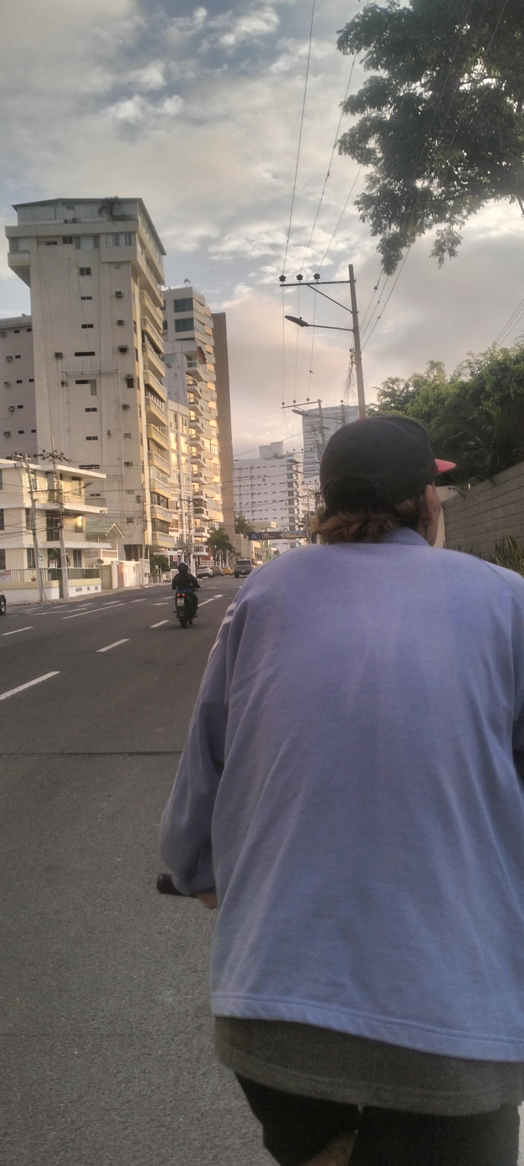 Ruta moderata