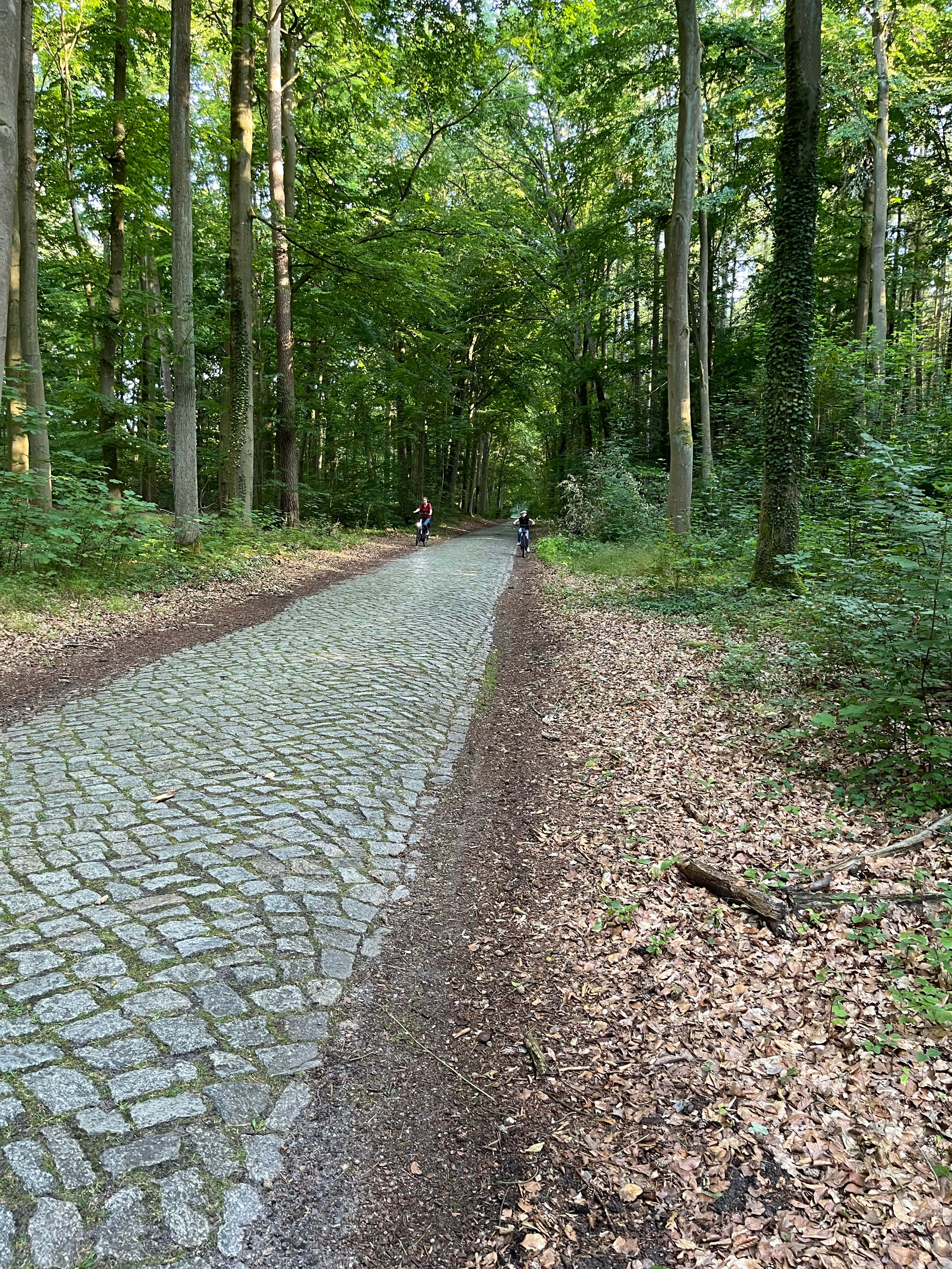 Schinkelstraße, Templin nach Dargersdorf nach Schinkelstraße, Templin