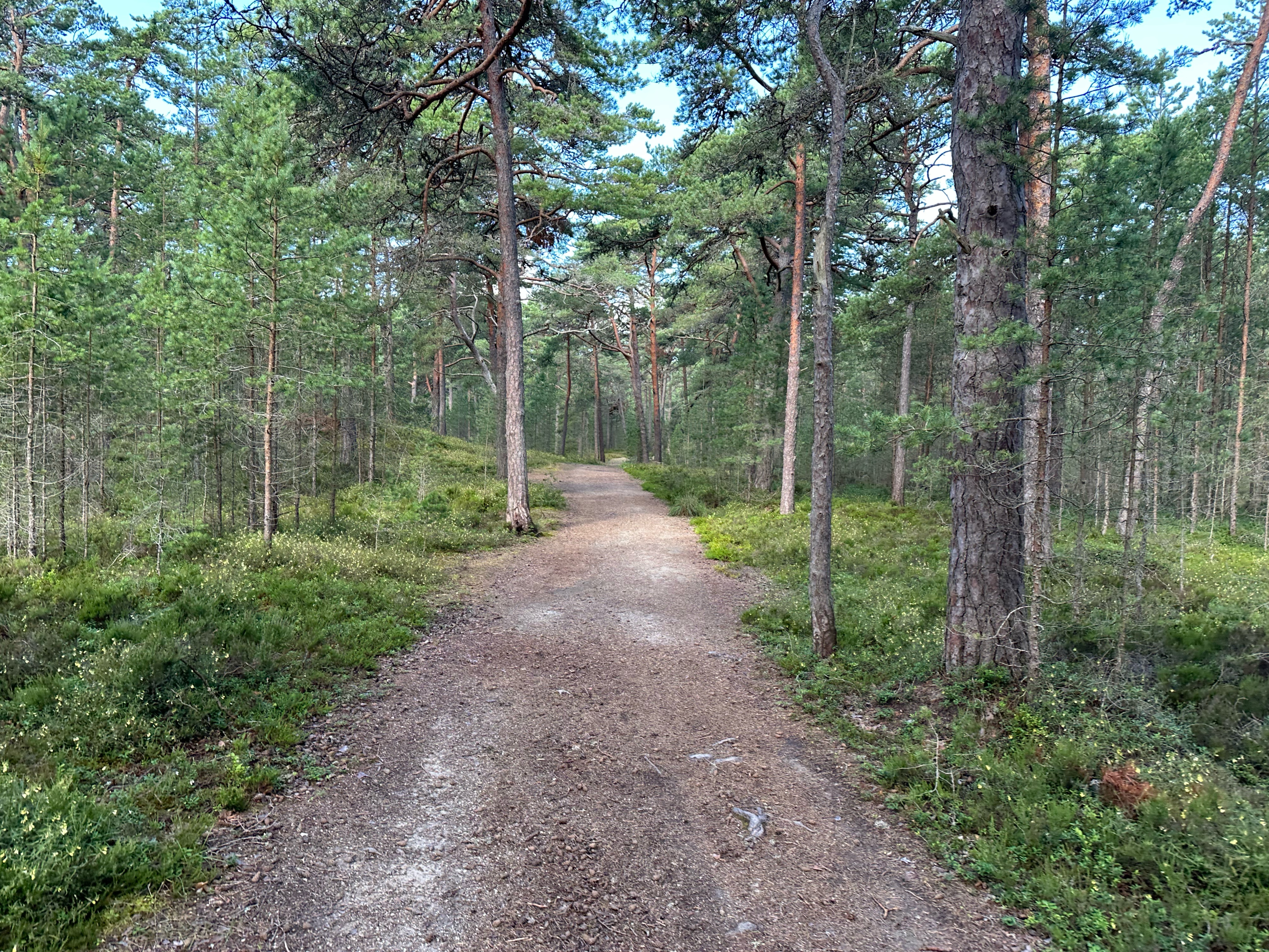 Meremõisa to Rehe põik, Tallinn