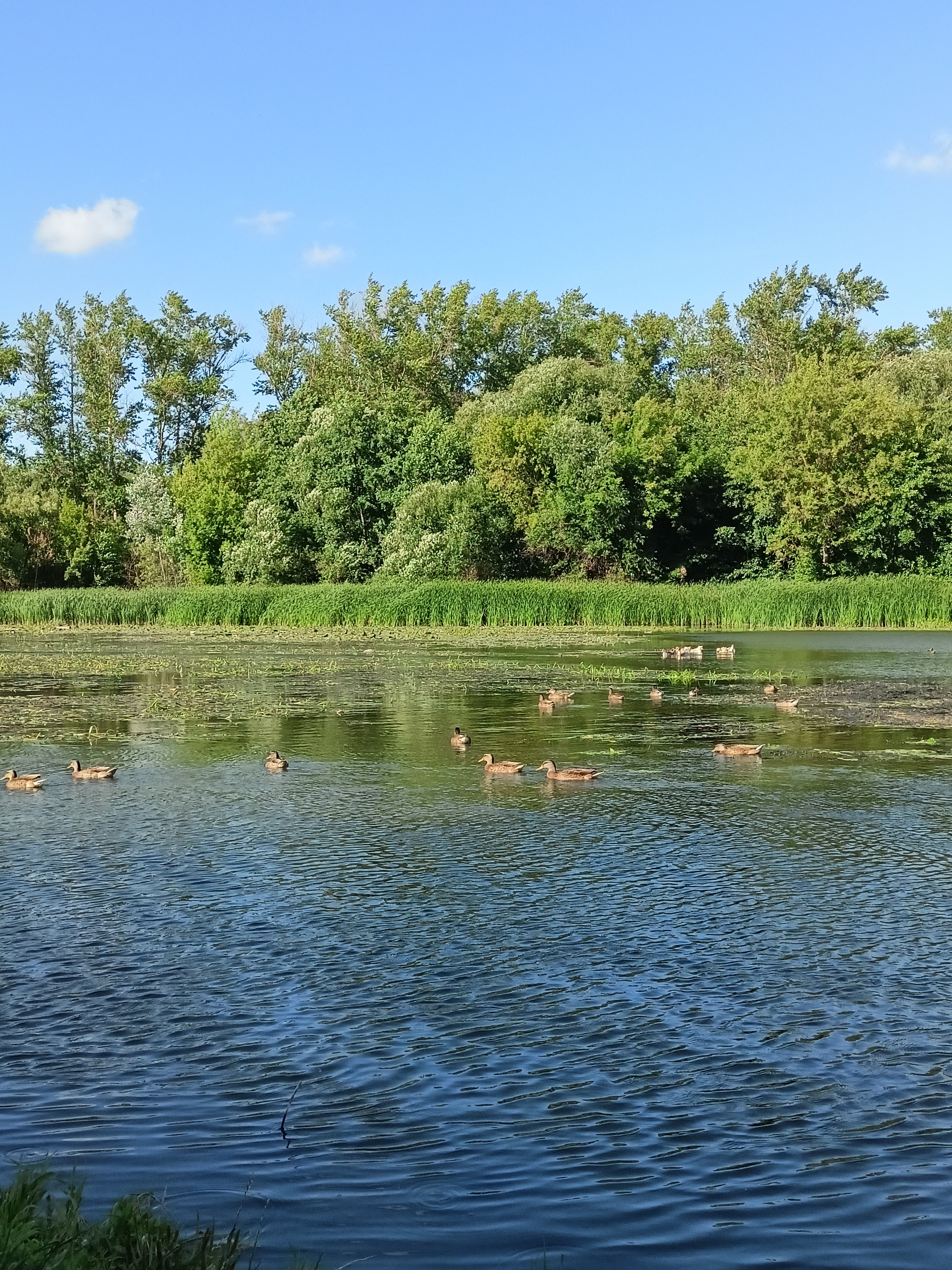 Zdjęcie 3 trasy Bikemap „От улица Сумская 37-Б/2 до 4-й Автодромный переулок” Zdjęcie 3 trasy Bikemap „От улица Сумская 37-Б/2 до 4-й Автодромный переулок”