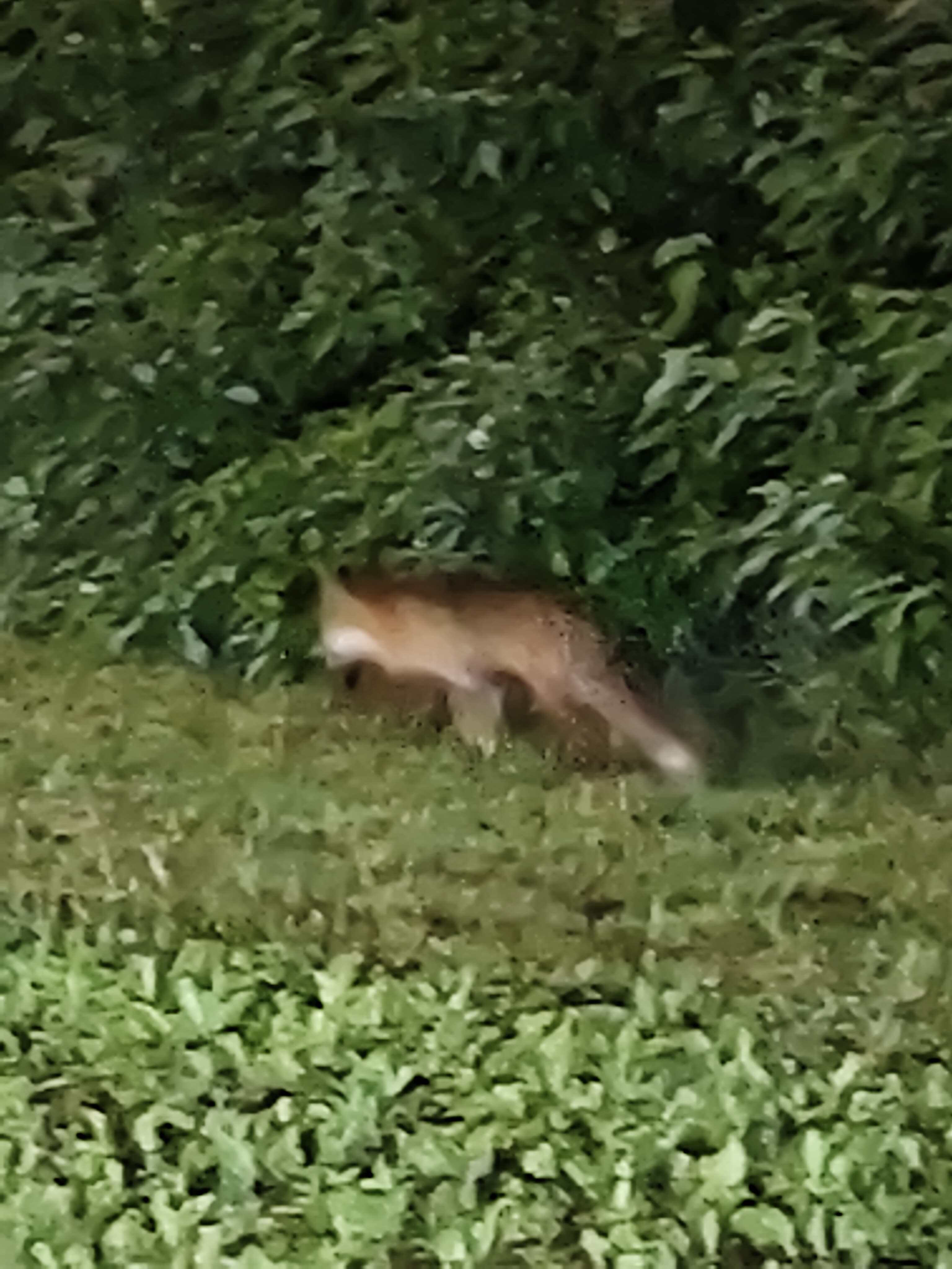 От 14к4 до Радужная улица корпус