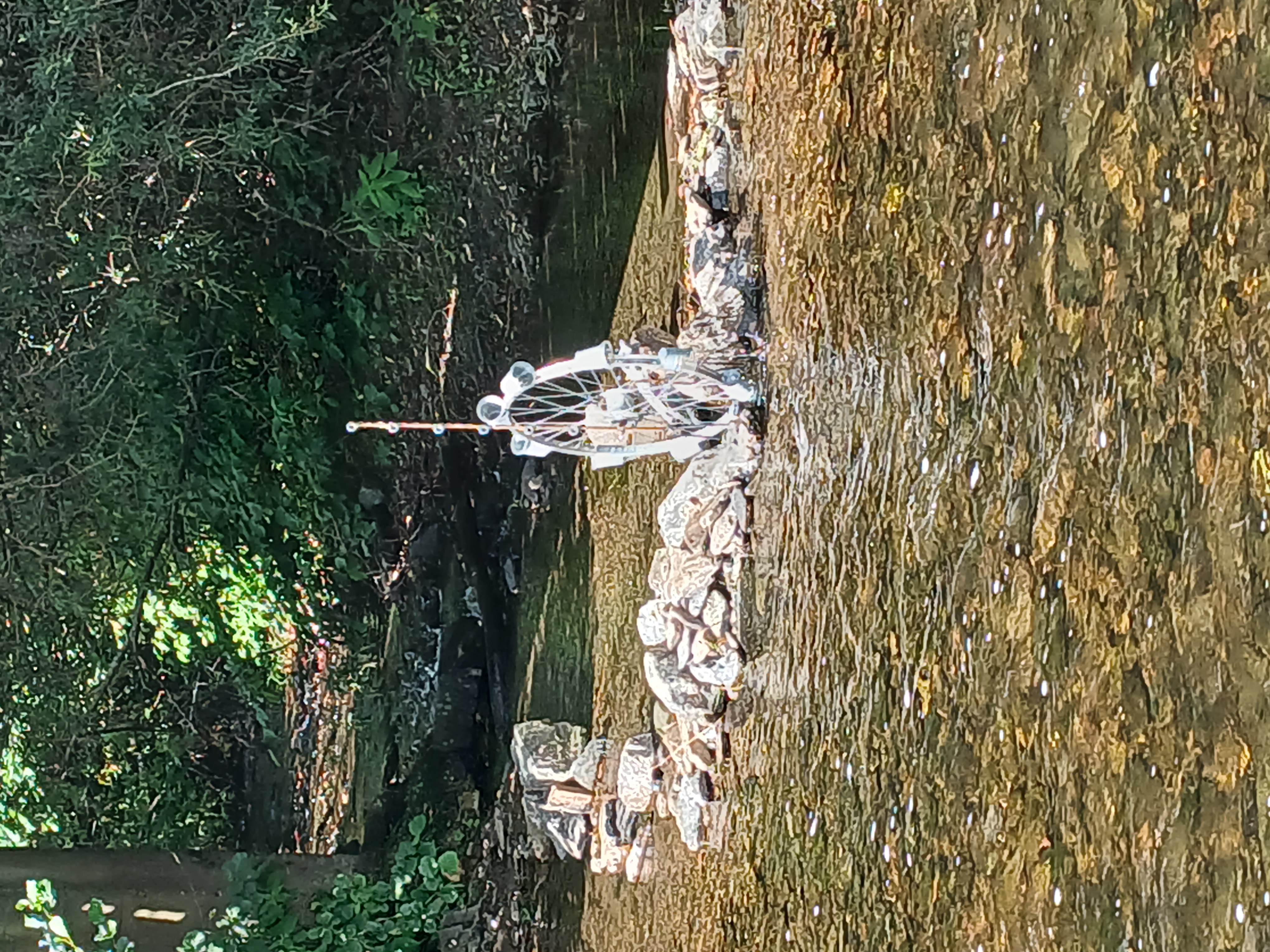 BLB, Rinte, Birkefehlerhöhe,  BLB .30.07.25