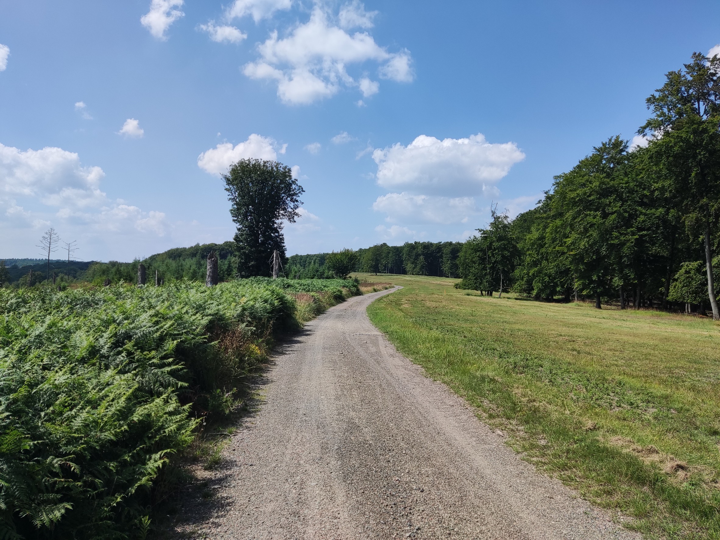 Photo 7 of the Bikemap route "MTB-Tour Oeventrop, Uentrop, Gut Wichel, Schreppenberg, Breitenbruch, Möhnesee, Tor Haus, Neuhaus, Uebtroper Höhe, Plackweg, Herfweg, Oeventrop."