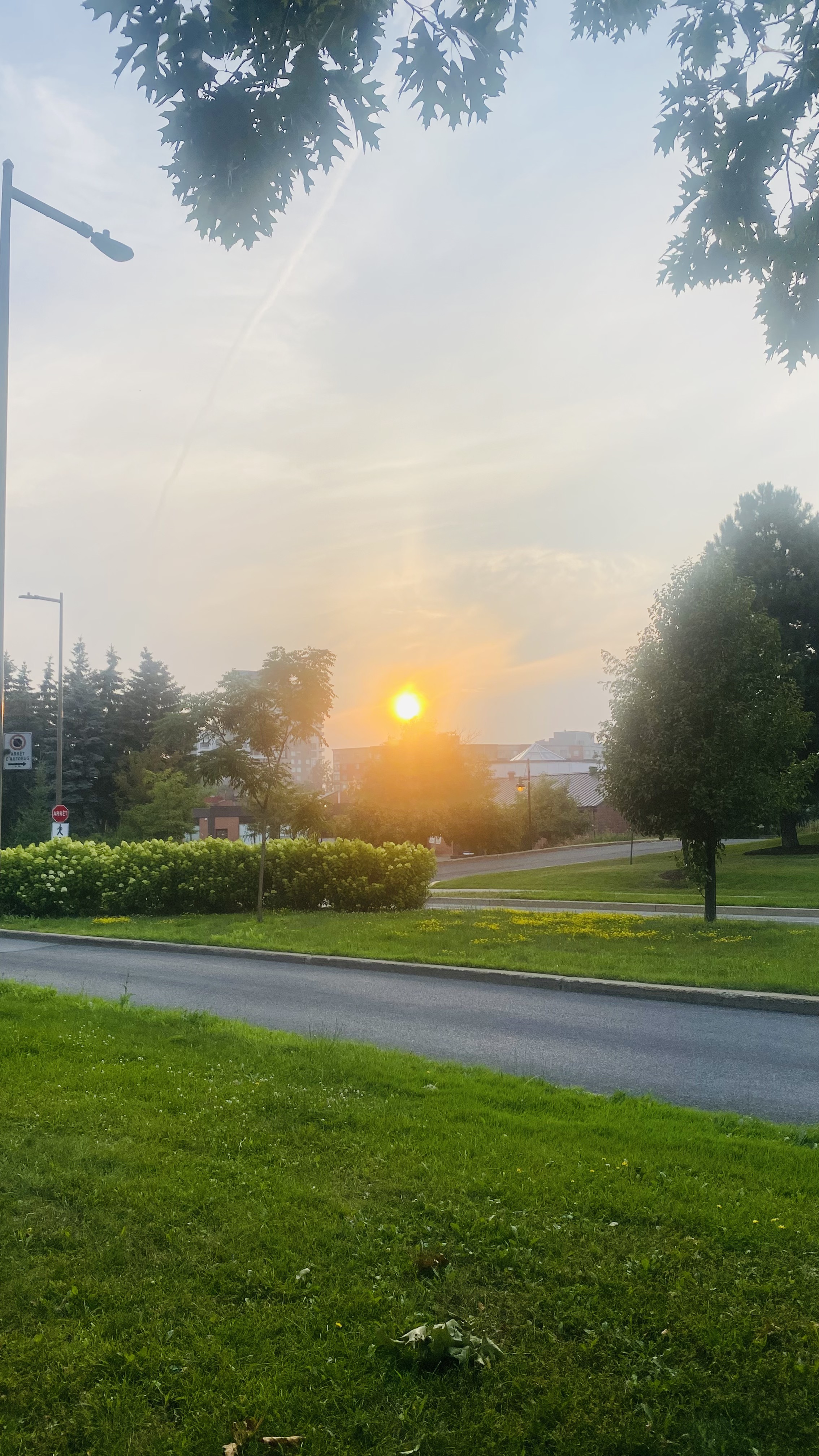 Rue Murray, Montréal à Rue du Séminaire, Montréal