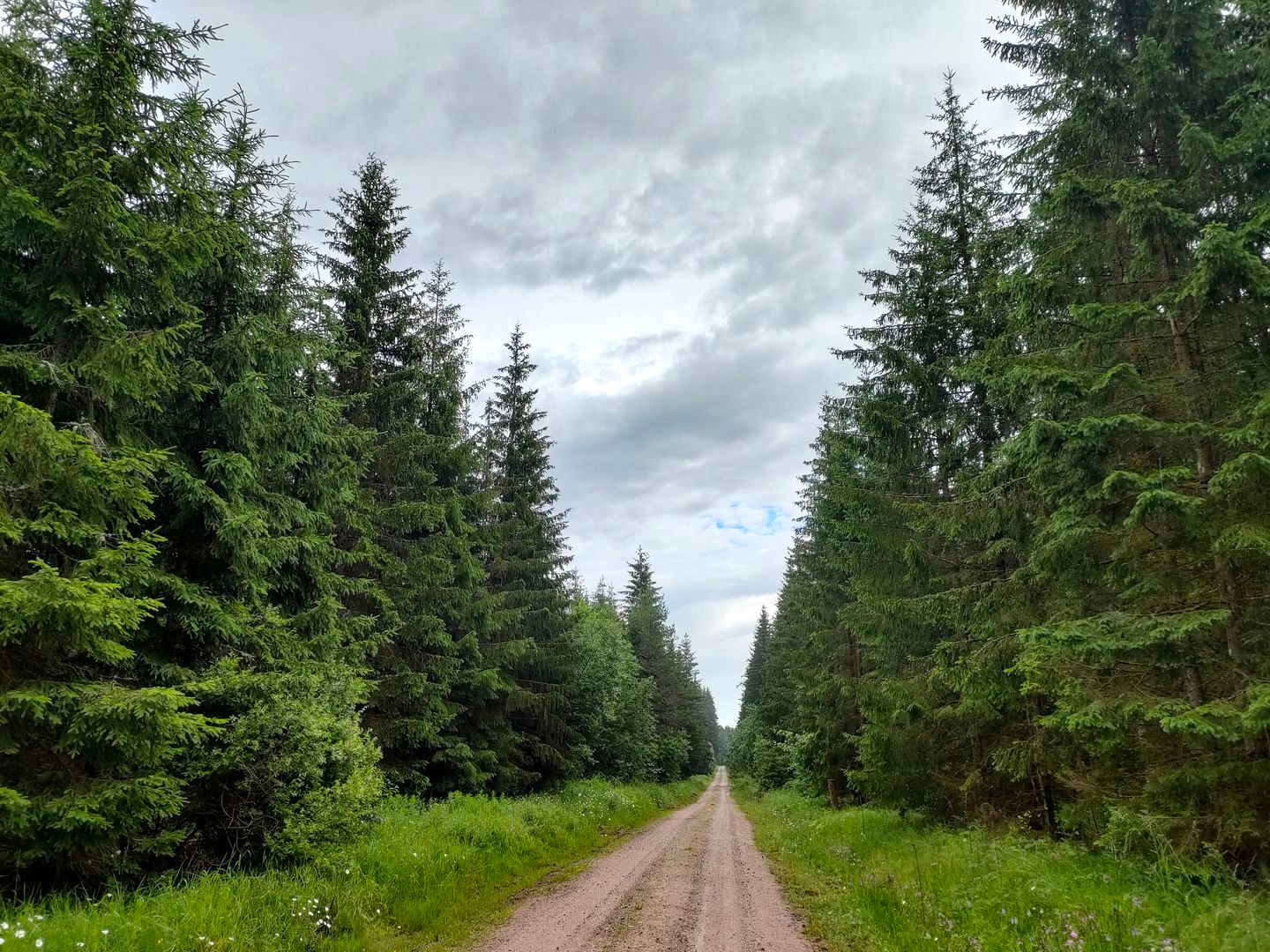 Photo 8 of the Bikemap route "Bâle - Prague - Cracovie"