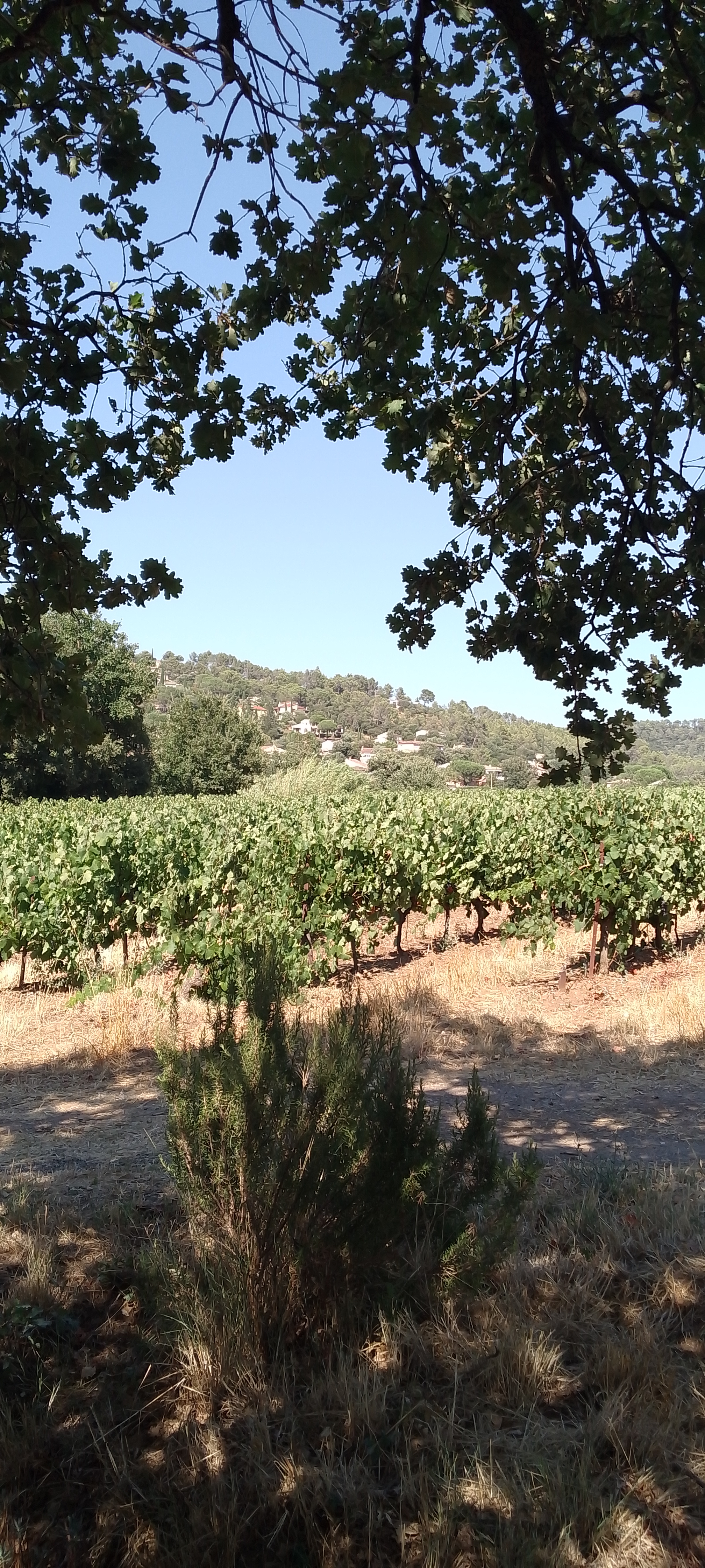 Pierrefeu du var