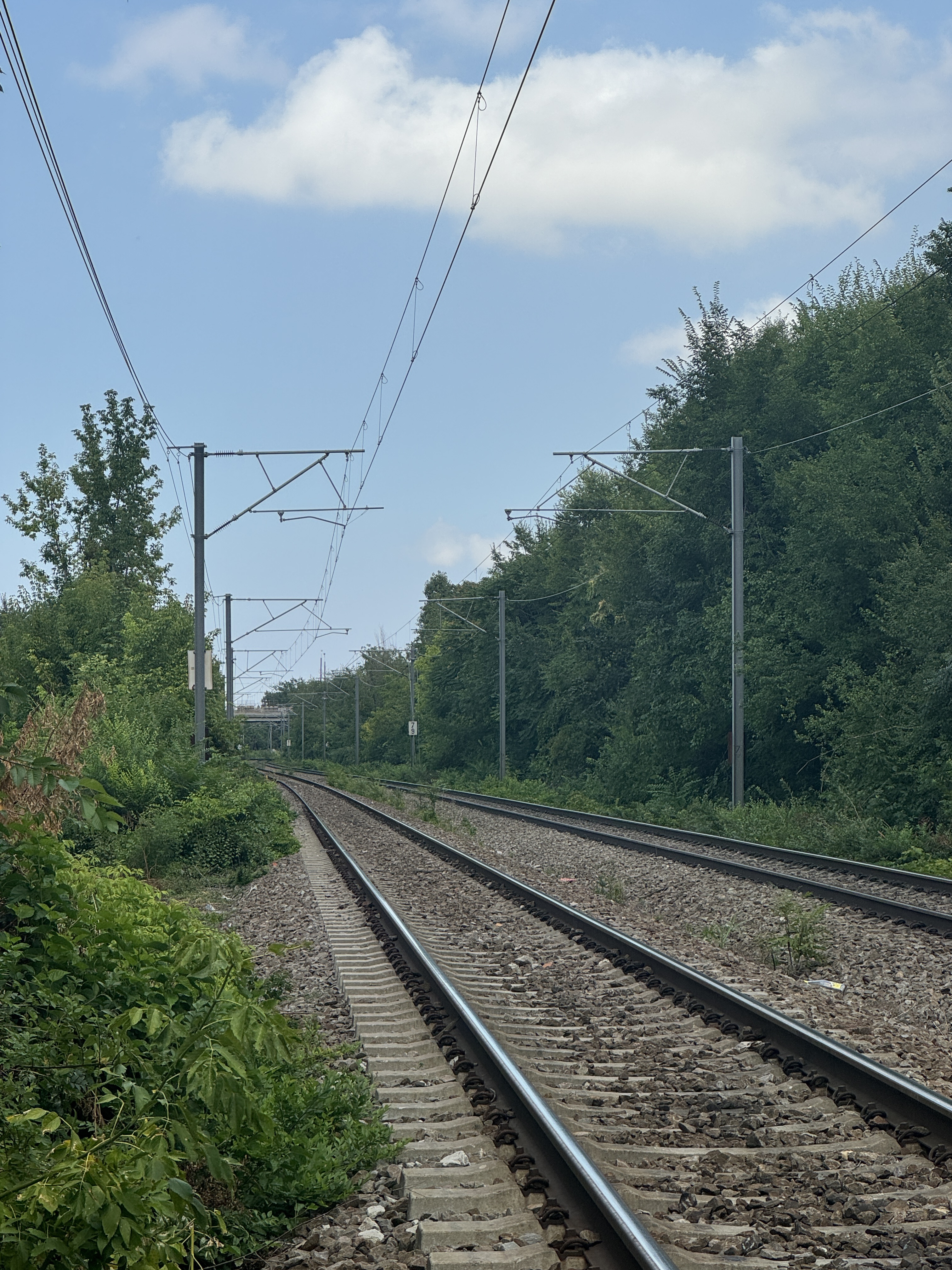 Photo 4 de l’itinéraire Bikemap « 44.511, 26.069 to 44.513, 26.072 » Photo 4 de l’itinéraire Bikemap « 44.511, 26.069 to 44.513, 26.072 »