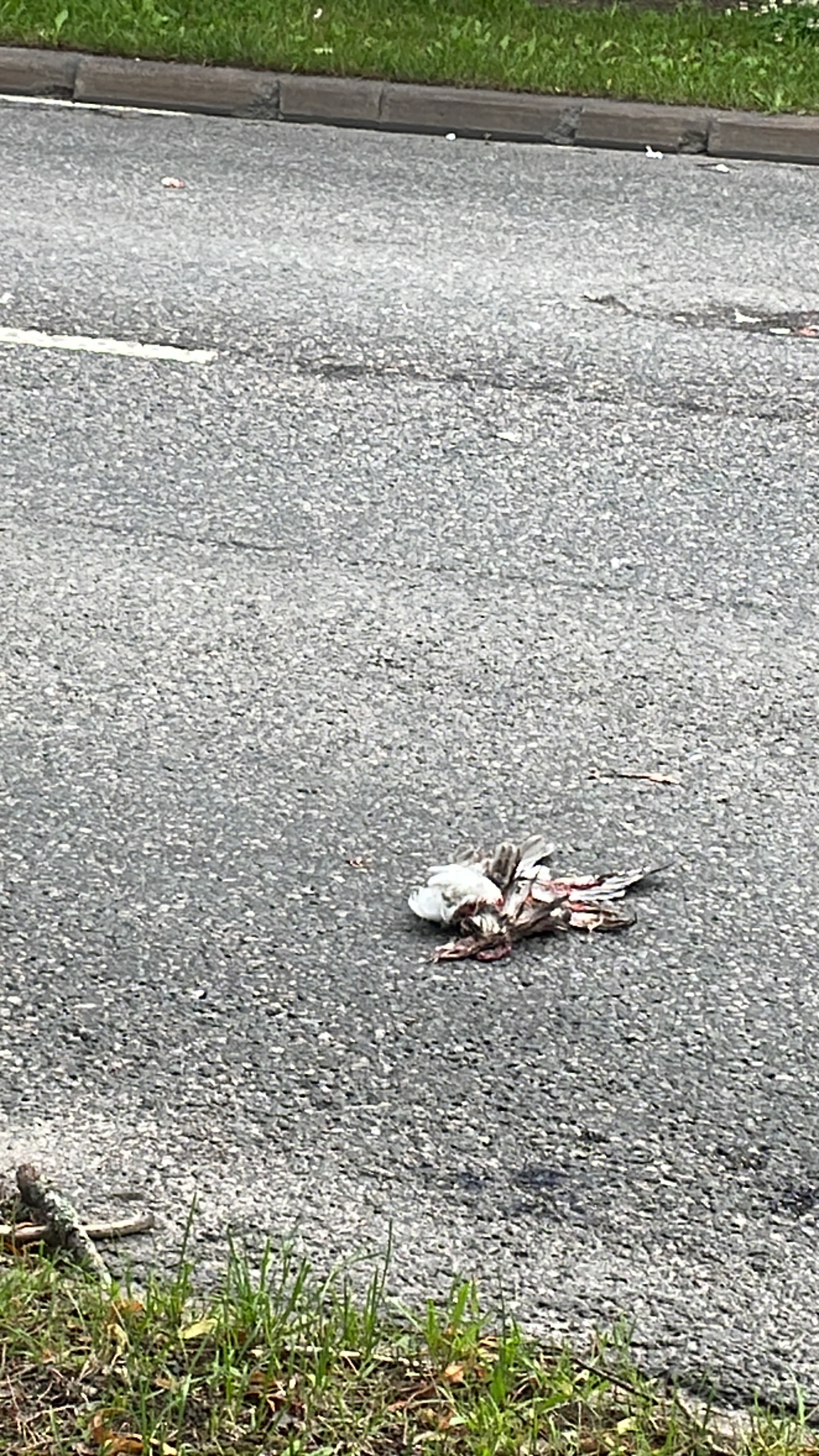 Photo 7 of the Bikemap route "Suomantie, Vantaa to Suomantie, Vantaa" Photo 7 of the Bikemap route "Suomantie, Vantaa to Suomantie, Vantaa"