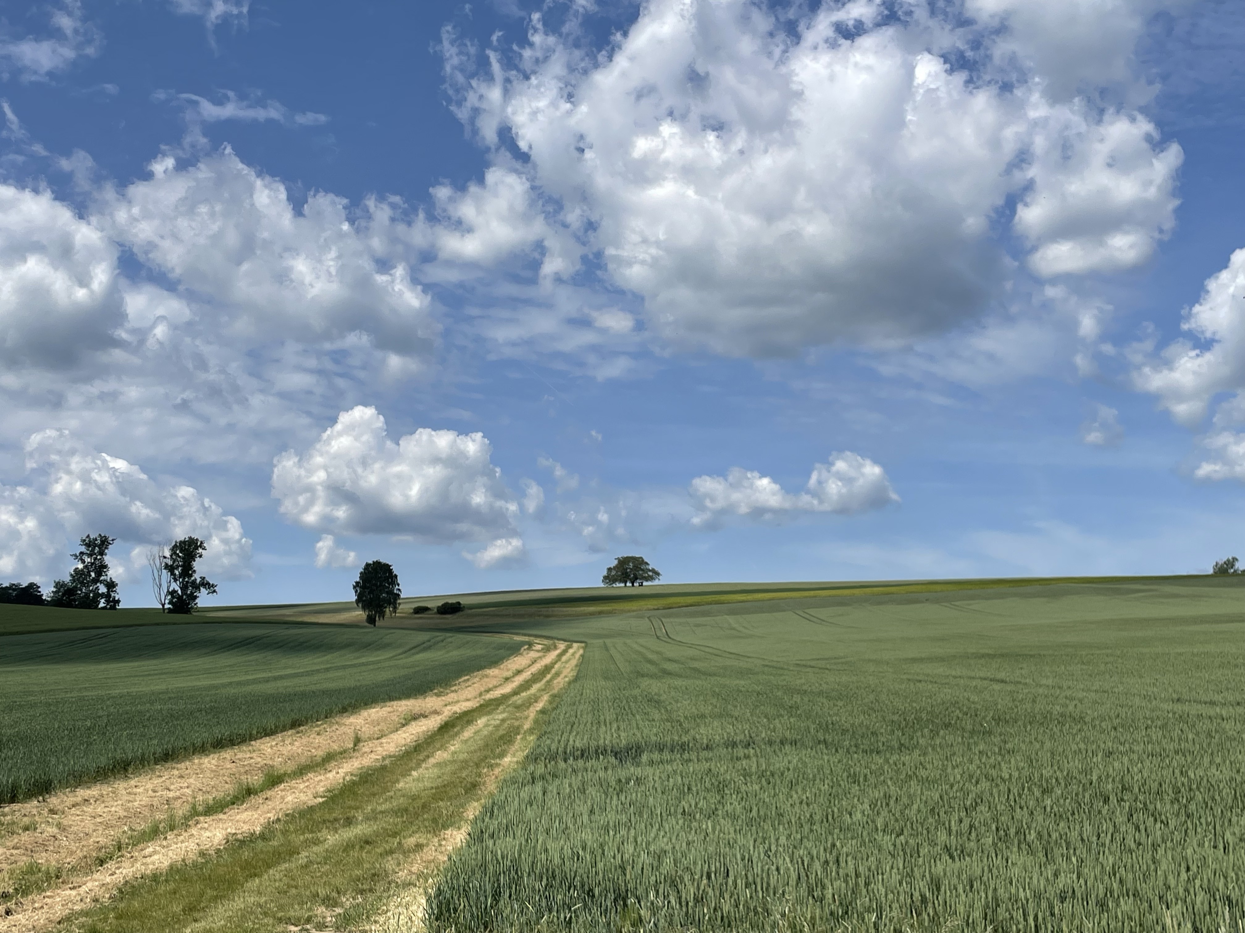 Foto 8 der Bikemap-Route "Heimat I"