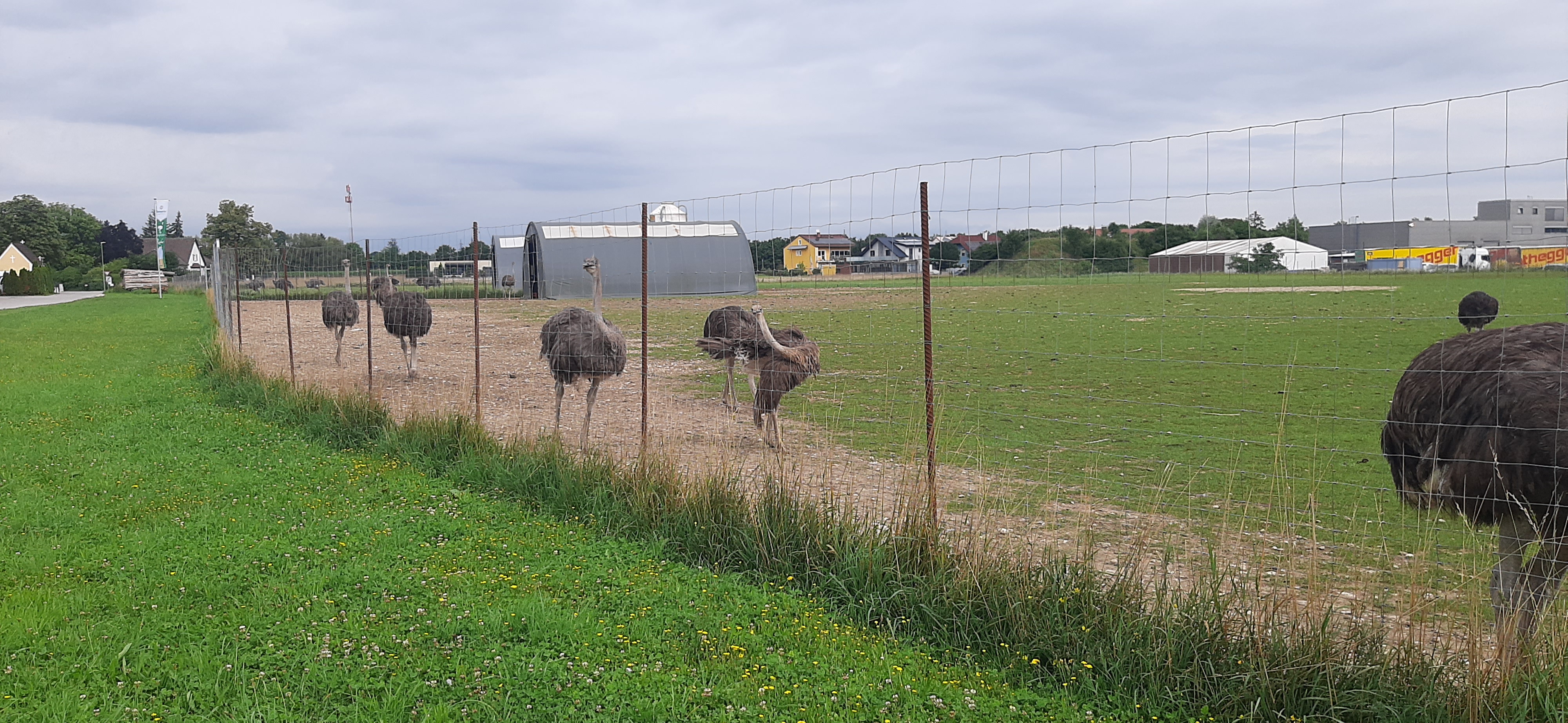 Zdjęcie 8 trasy Bikemap „stadlhof, Vogel Strauß und retour” Zdjęcie 8 trasy Bikemap „stadlhof, Vogel Strauß und retour”