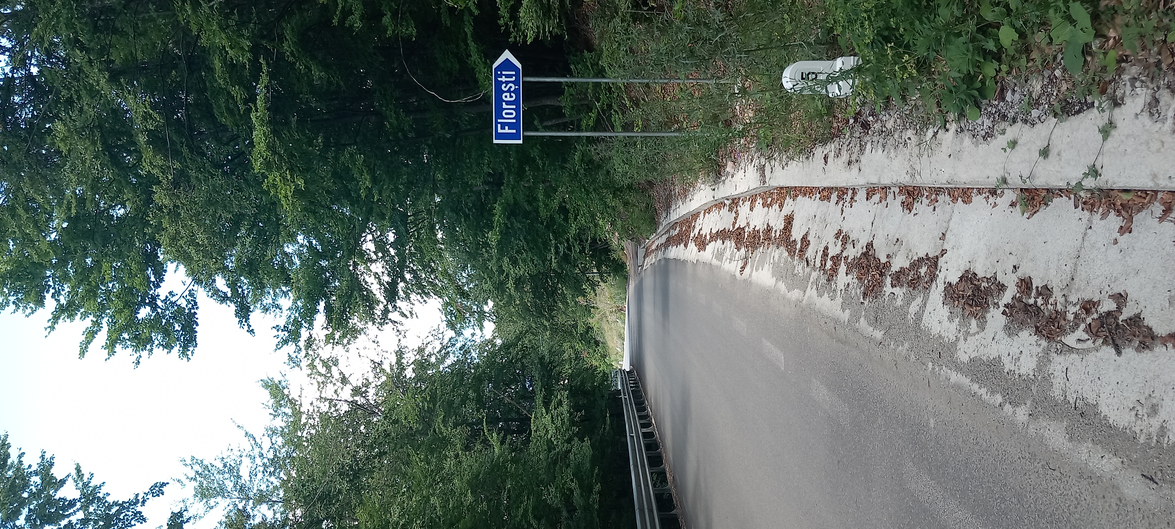 Foto 8 del percorso Bikemap "TransApuseana - Florești AB"
