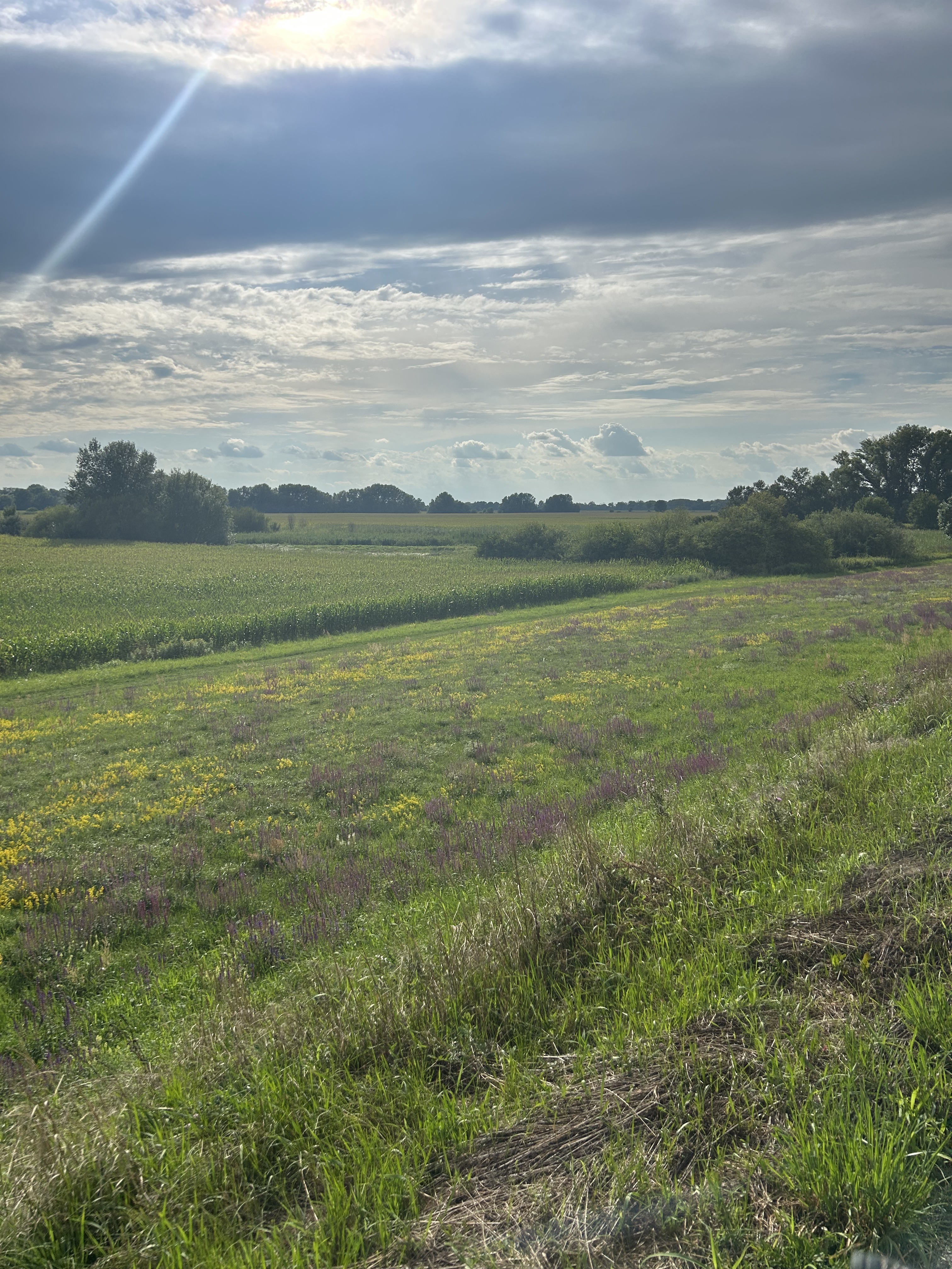 Štúrova, Gúta - Štúrova, Gúta