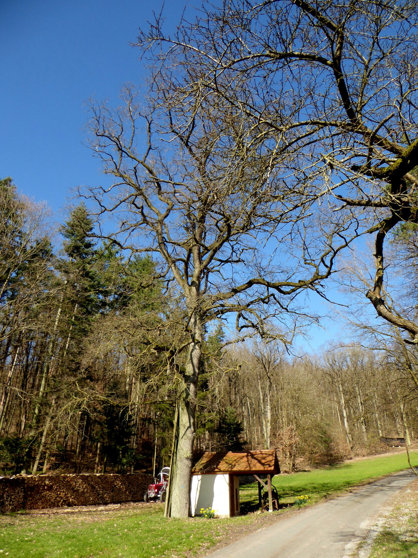 Diespeck - Langenfeld 25 km