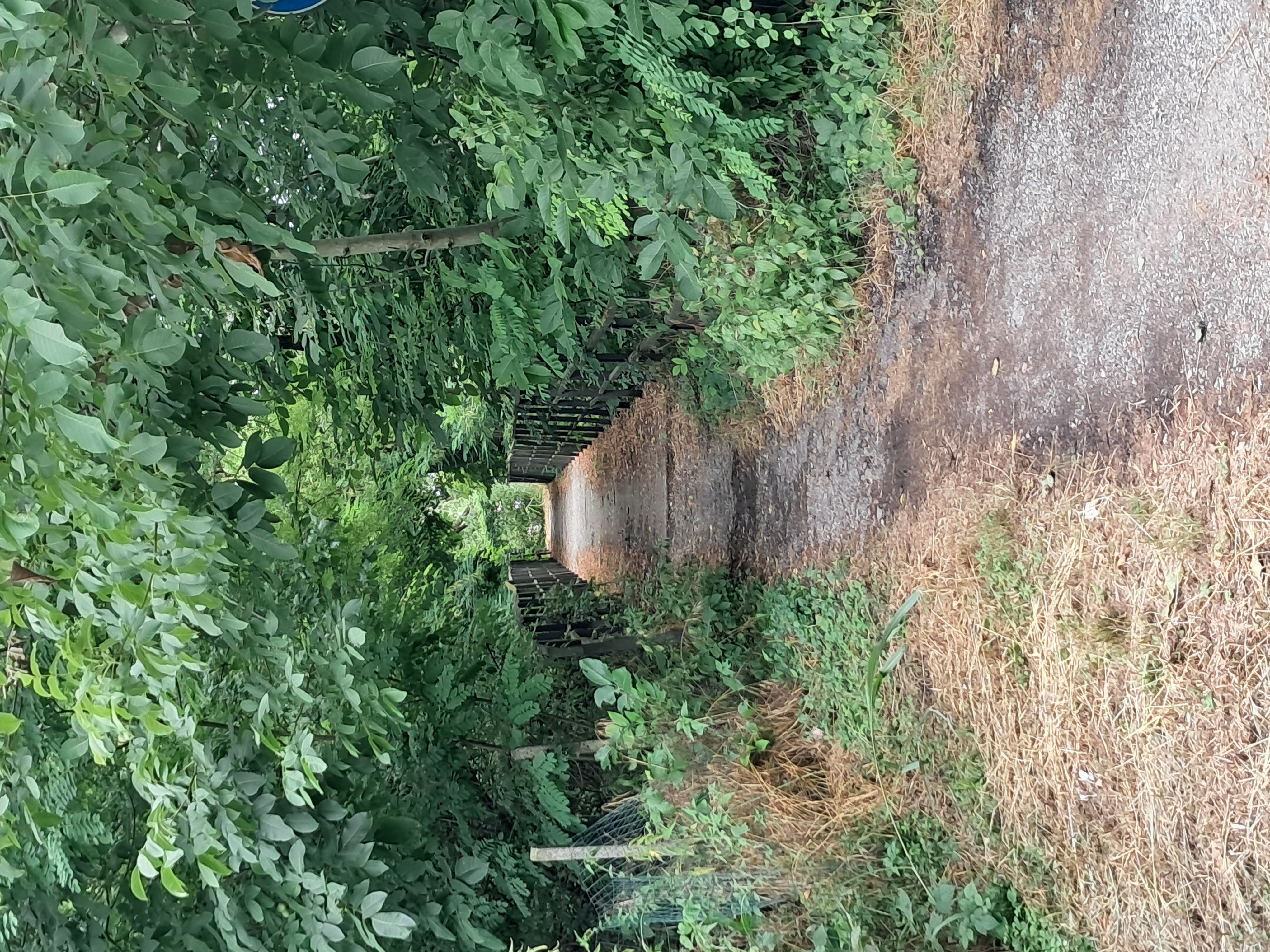 Da Via Aldo Moro a Via Aldo Moro