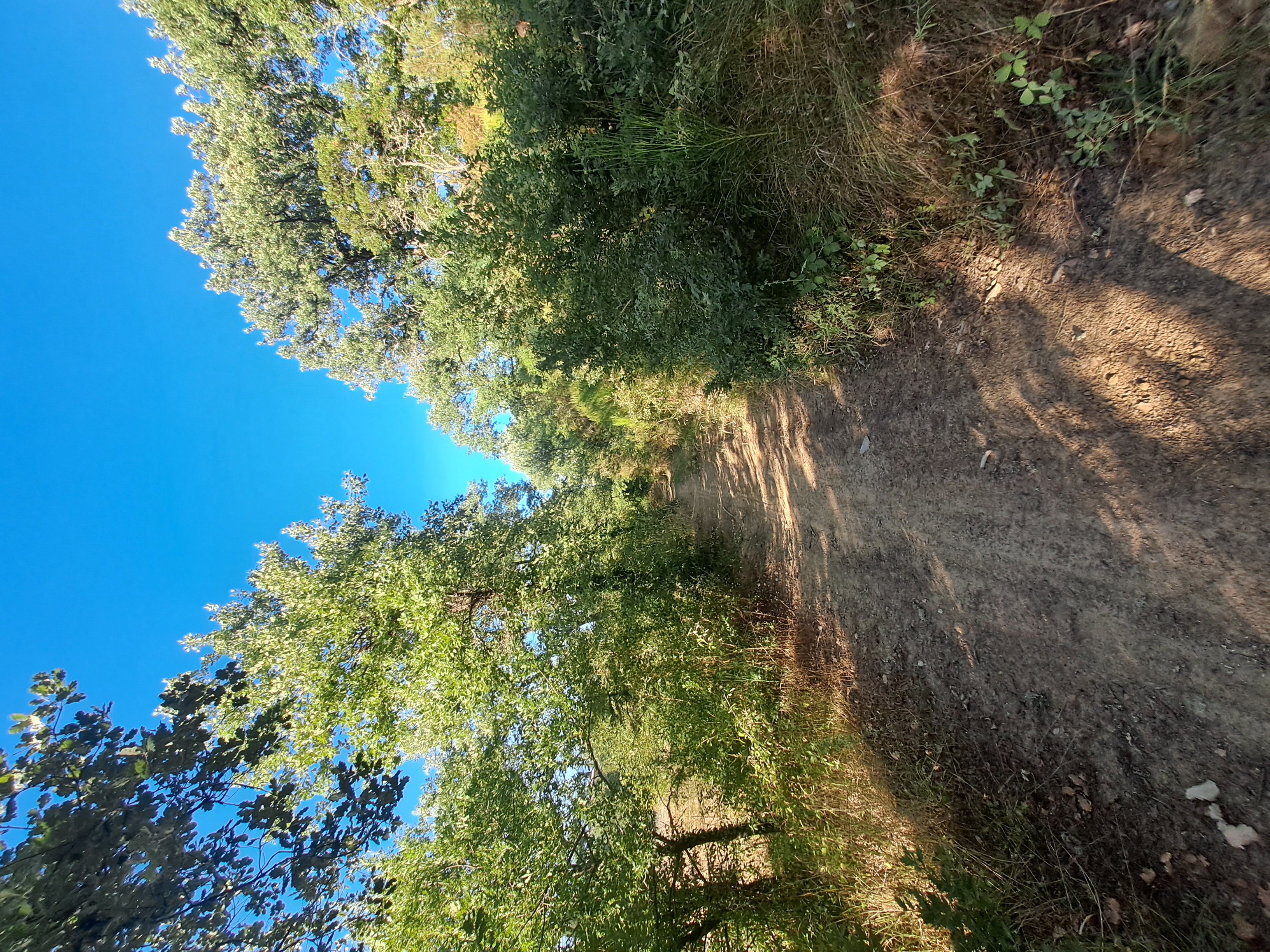 Moncioni Uphill 22/07