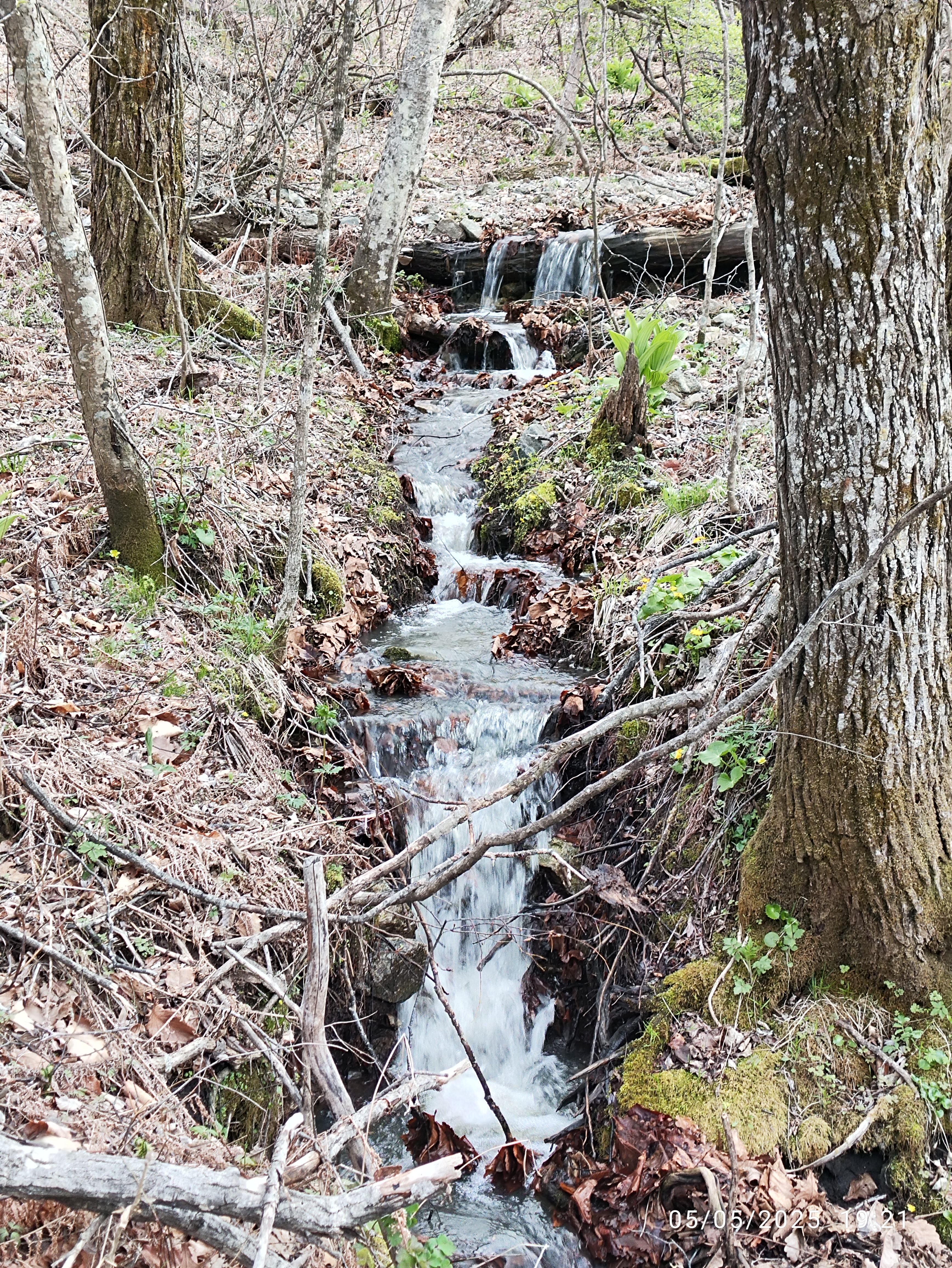 Novitskoe