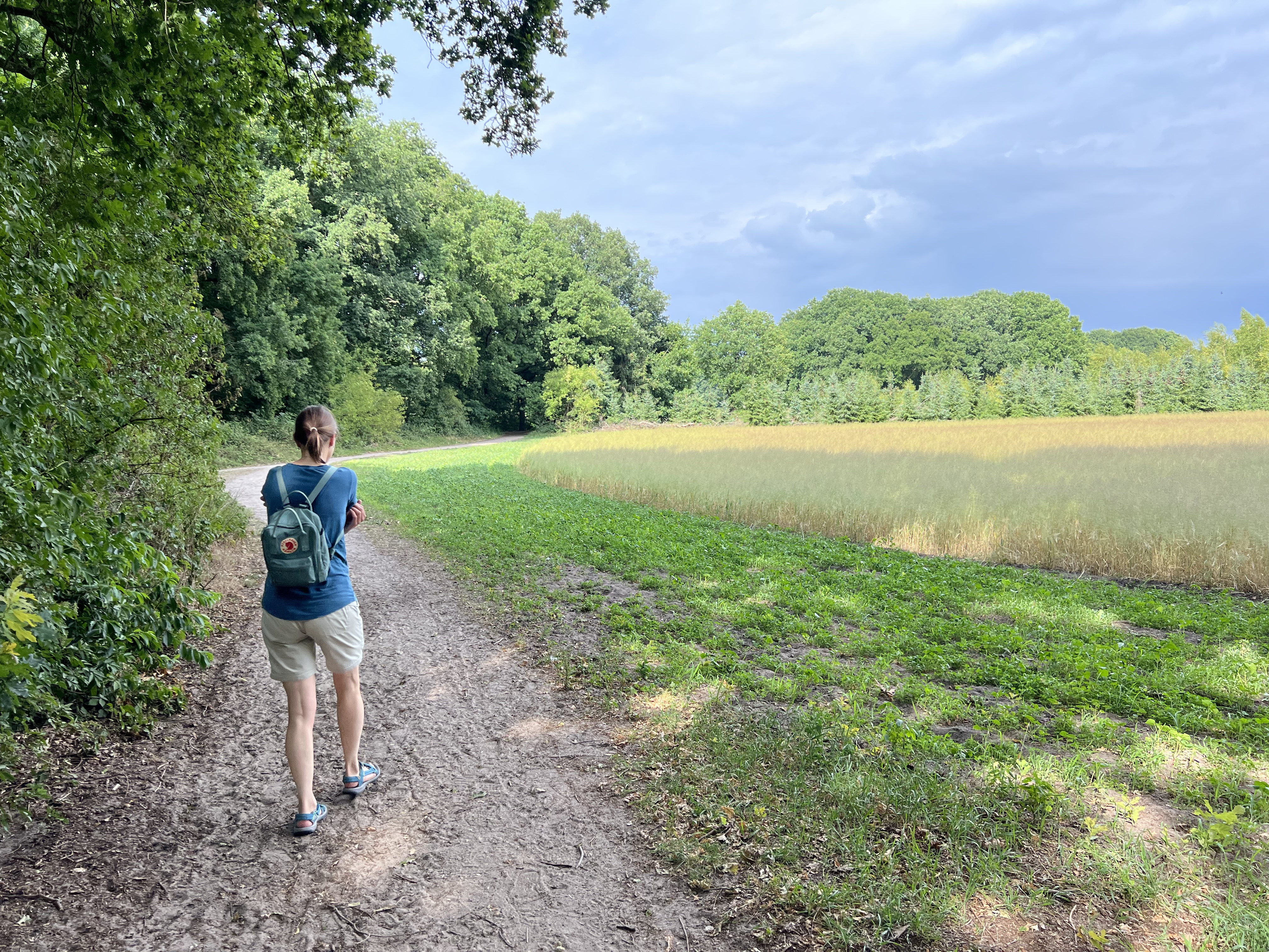 Bussum-Huizen-dal pešky k Gooisemeer. Vedro-zmrzka