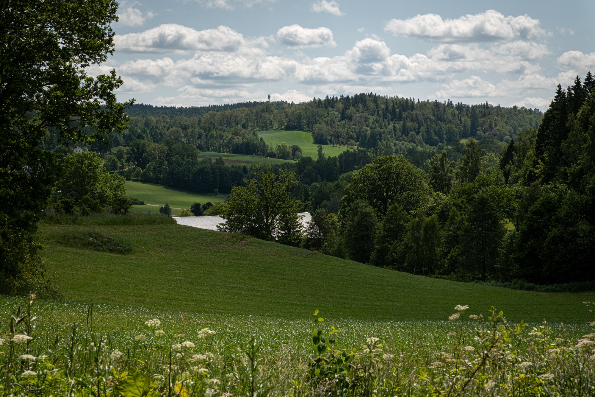 Skärstad church, Ölmstad, around Landsjön, to Rudenstams Café and back