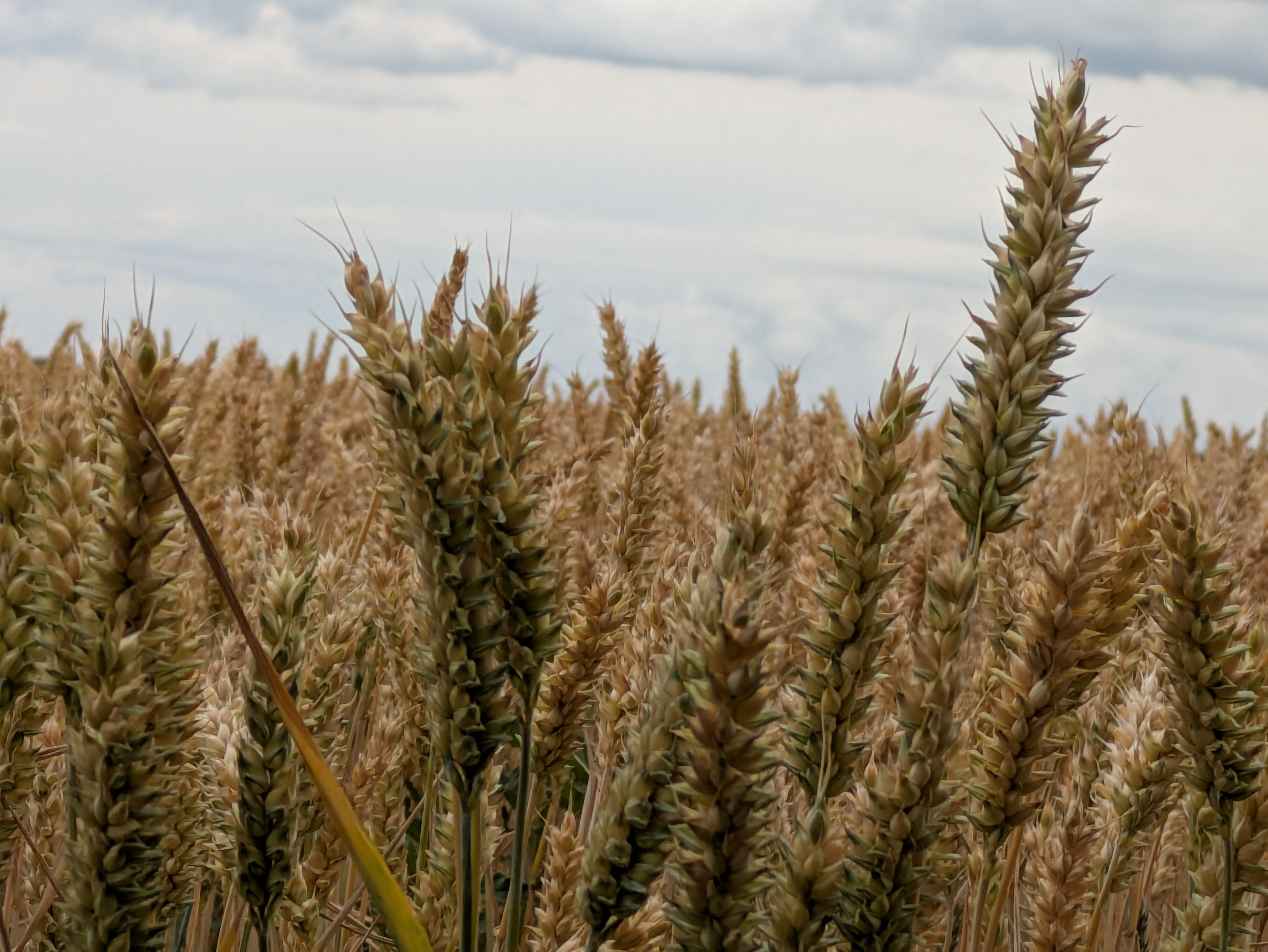 Foto 4 der Bikemap-Route "Pariner Straße 36G nach Pariner Straße 36H" Foto 4 der Bikemap-Route "Pariner Straße 36G nach Pariner Straße 36H"