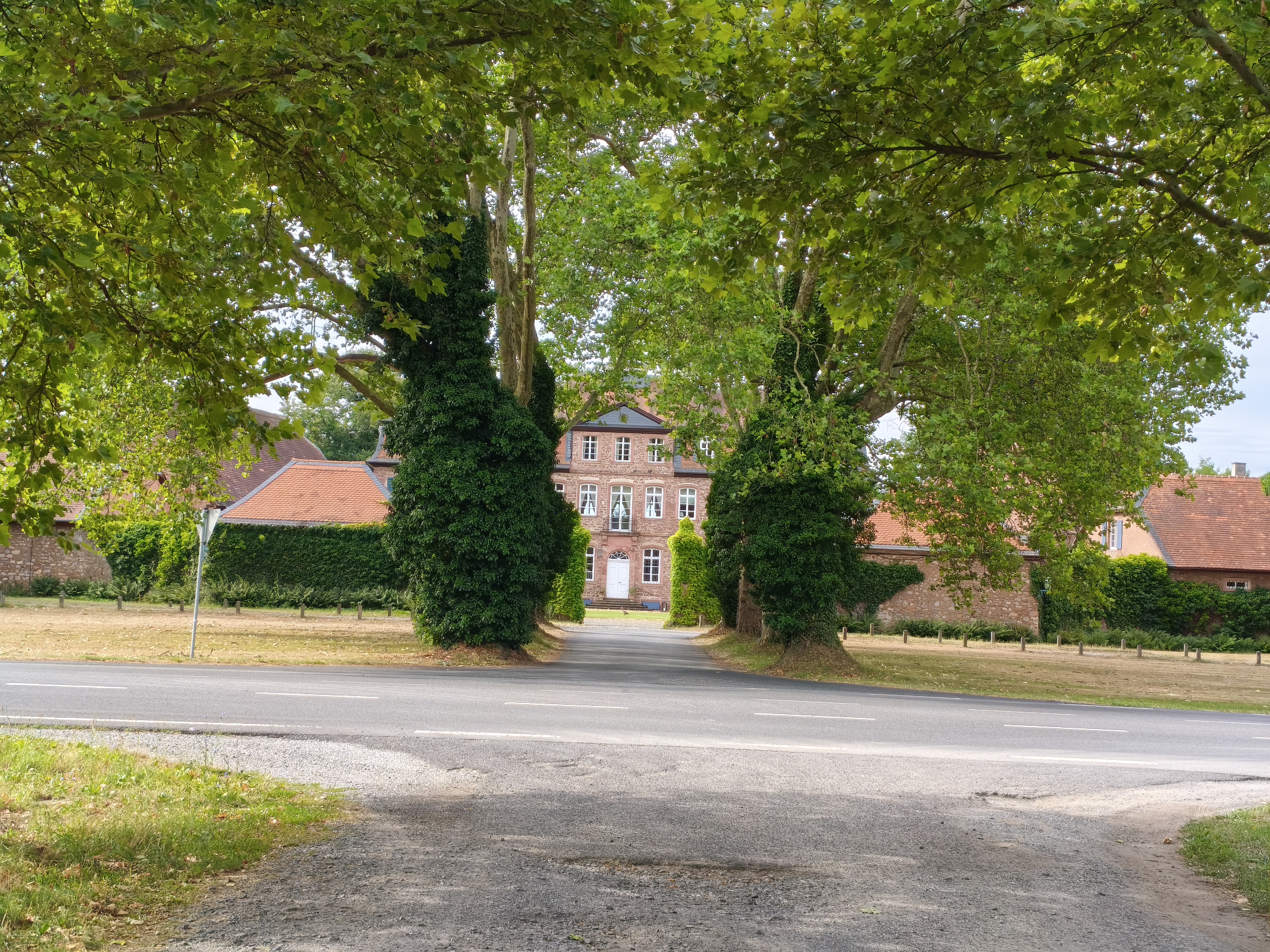 Wald, Stadt, Land, Main