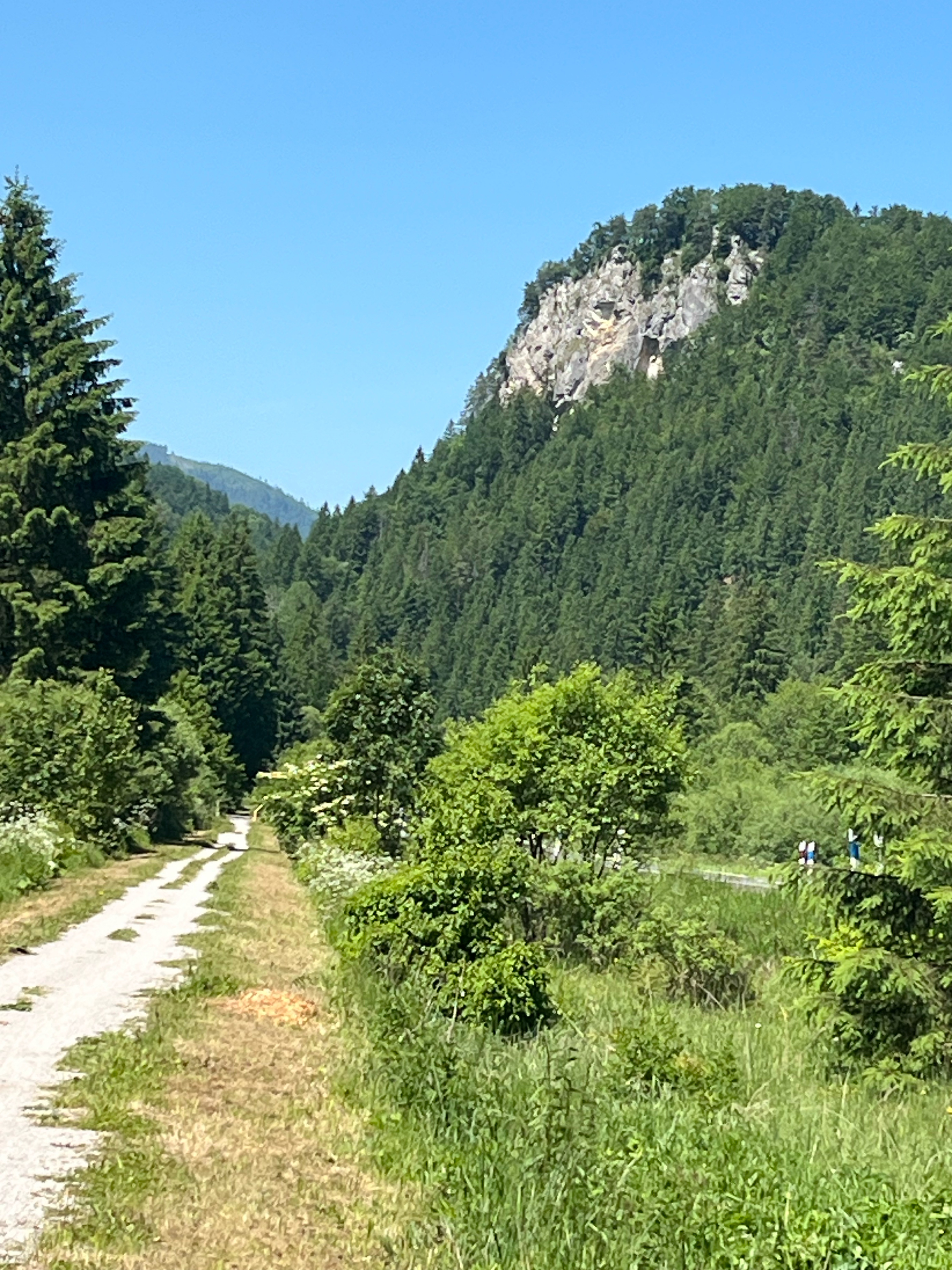 Korytnická, Ružomberok až Cesta 59, Ružomberok