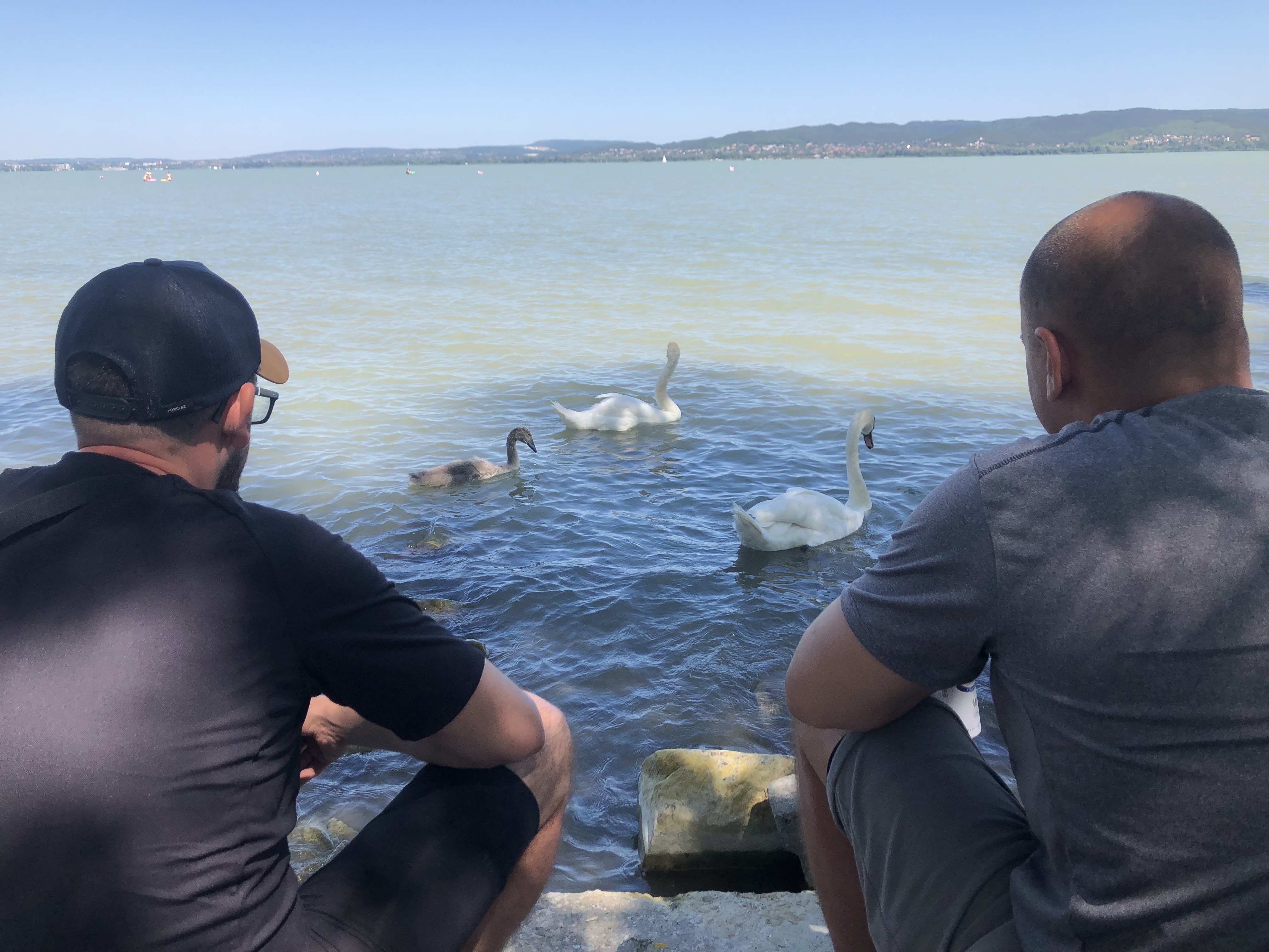 Foto 7 der Bikemap-Route "Tapolcai út, Keszthely - Radnóti Miklós utca, Balatonszárszó" Foto 7 der Bikemap-Route "Tapolcai út, Keszthely - Radnóti Miklós utca, Balatonszárszó"