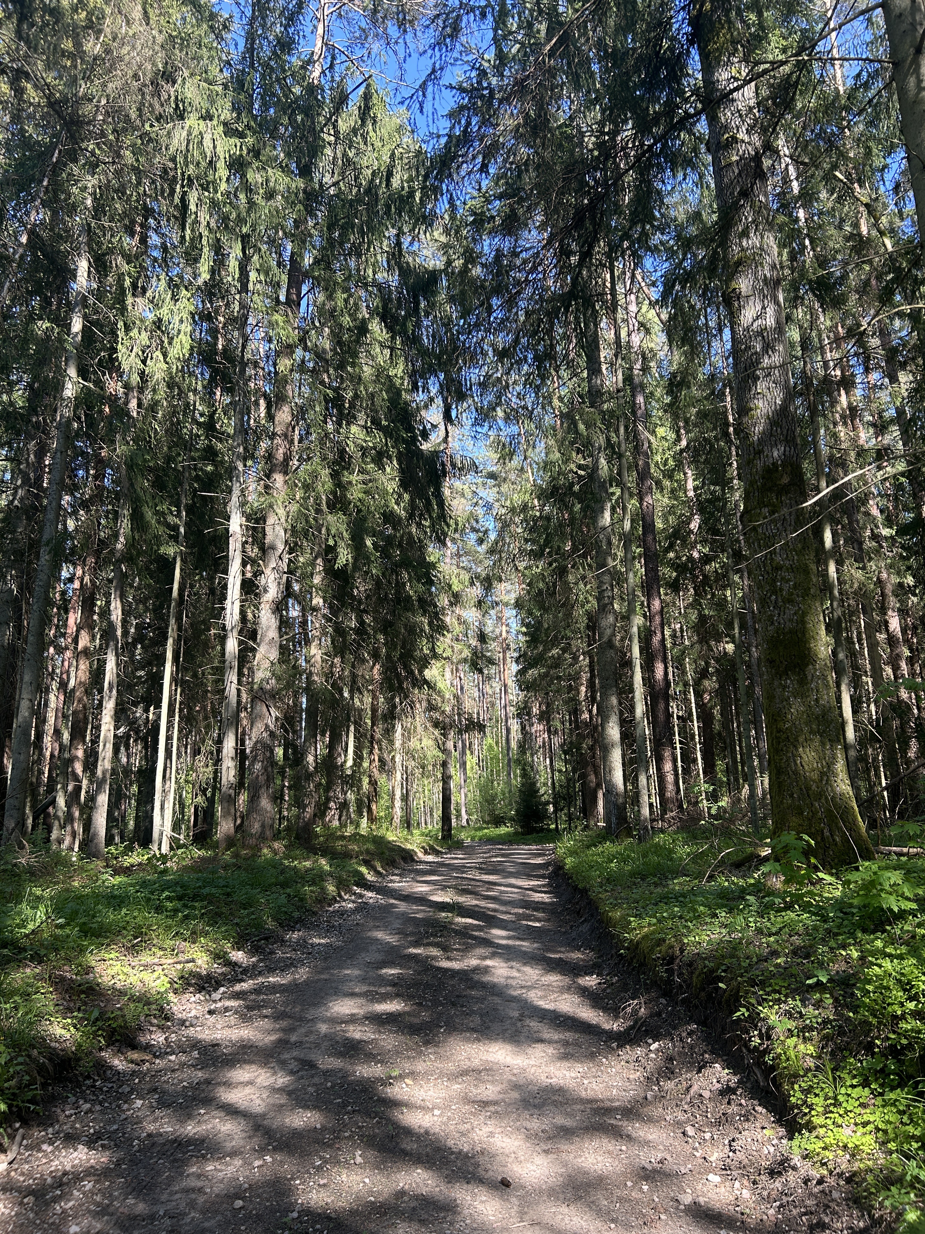 Zemgales prospekts, Jelgava to Pērnavas iela, Riga