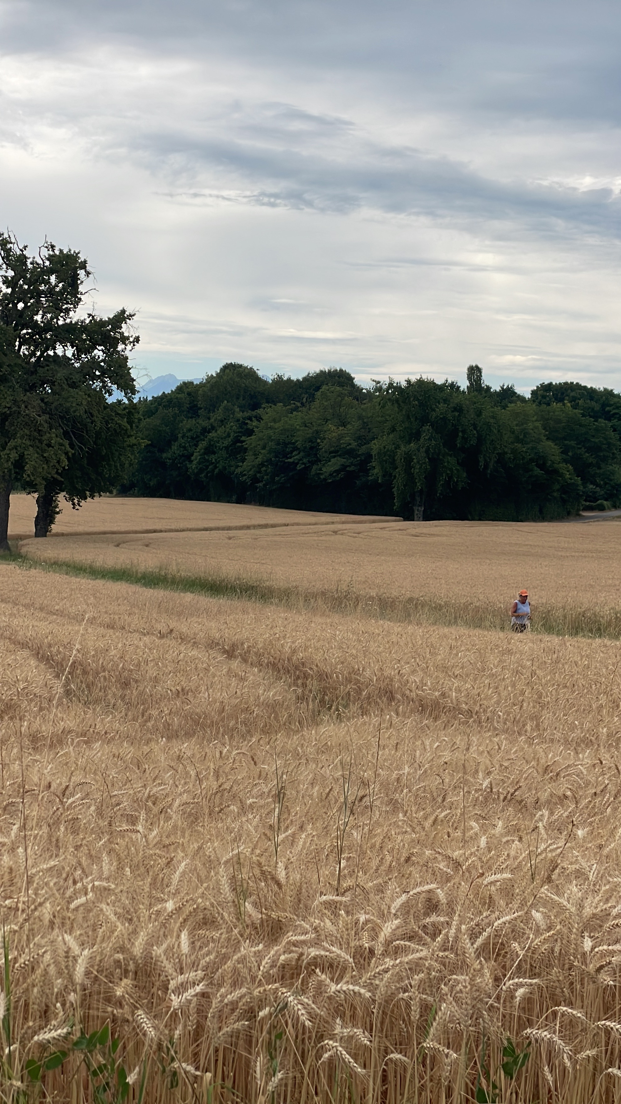 Foto 8 der Bikemap-Route "46.198, 6.196 a 46.372, 6.324"