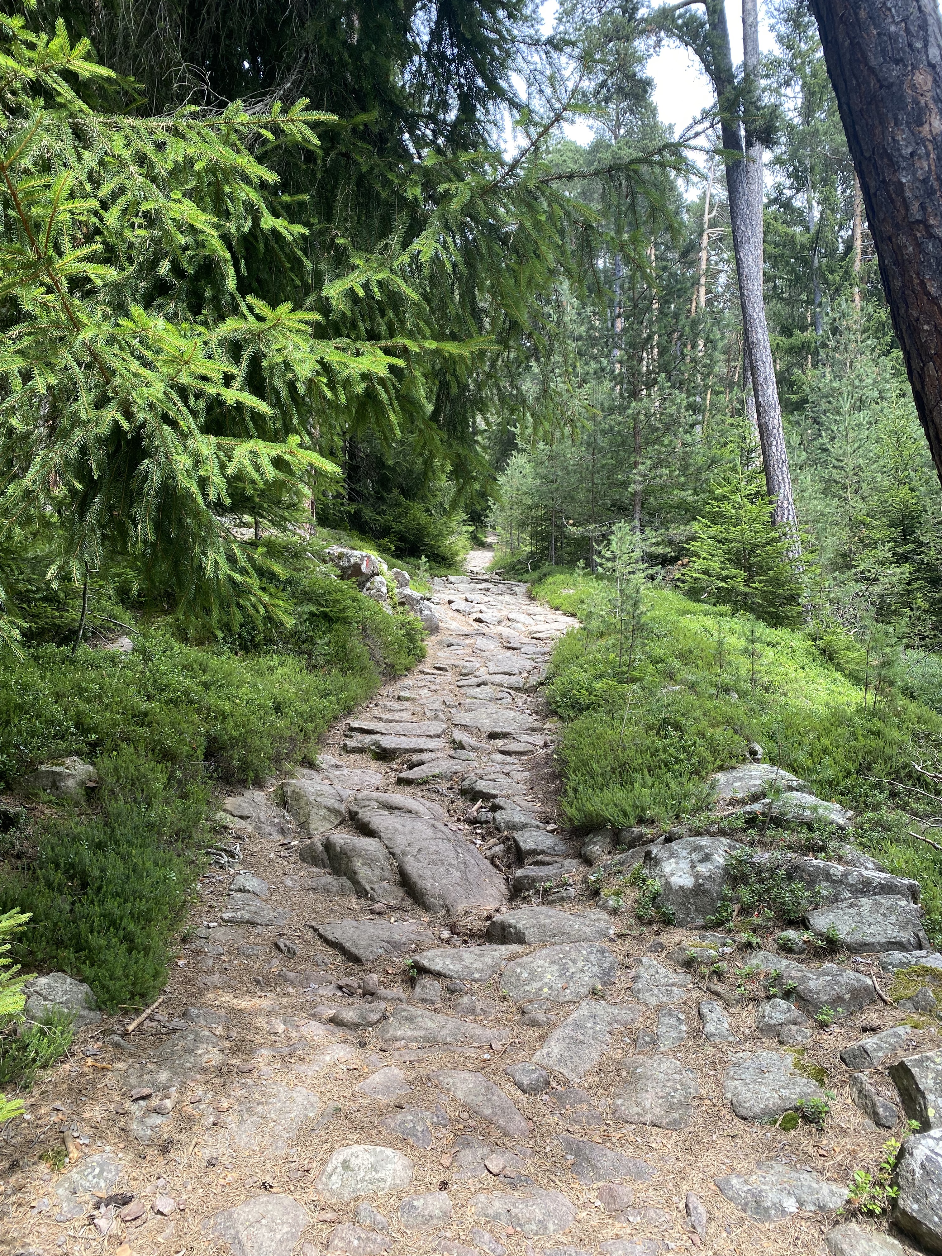 Foto 4 der Bikemap-Route "St. Ulrich nach Scurciastraße, St. Ulrich" Foto 4 der Bikemap-Route "St. Ulrich nach Scurciastraße, St. Ulrich"