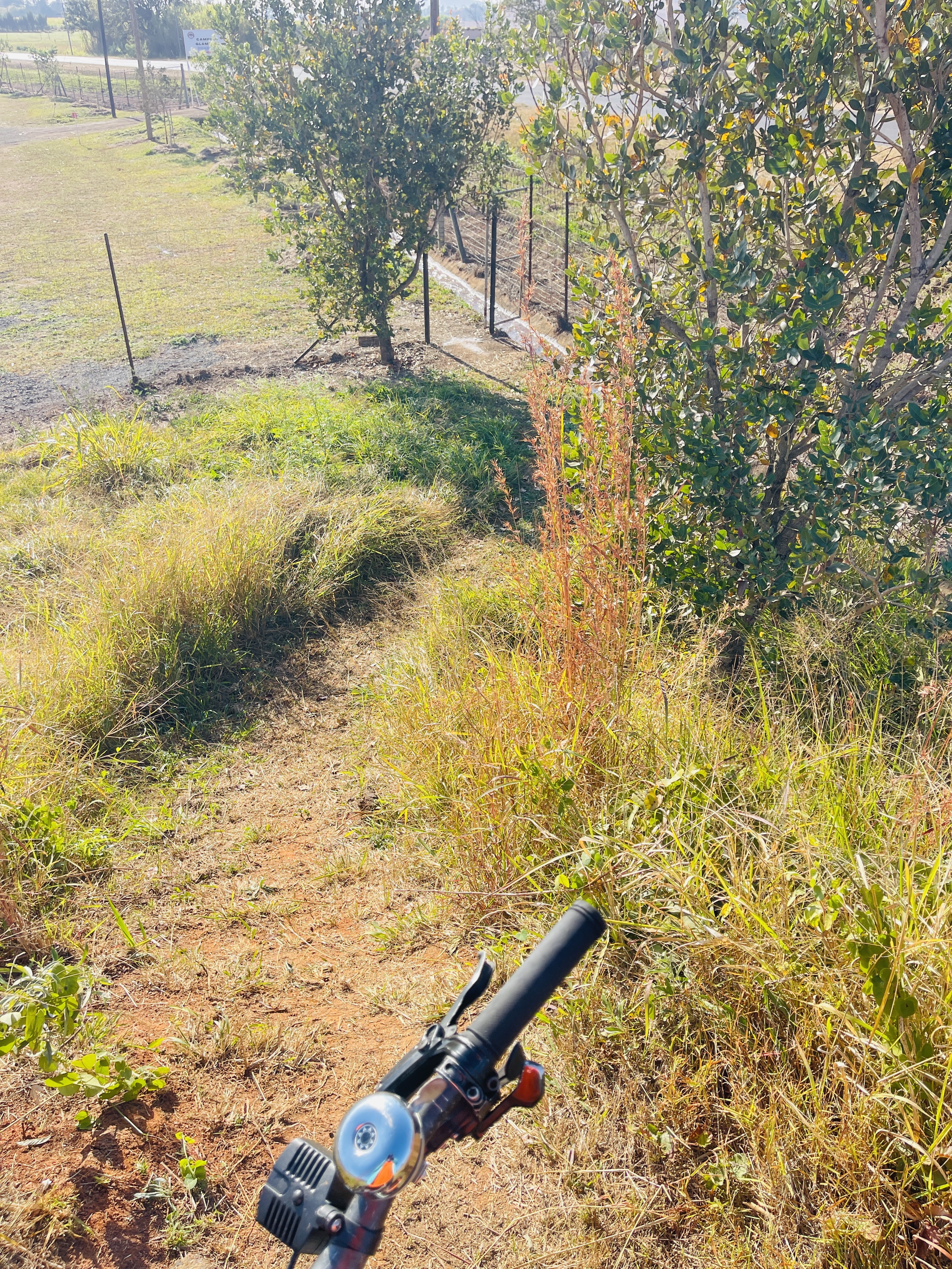 Manzini to Manzini