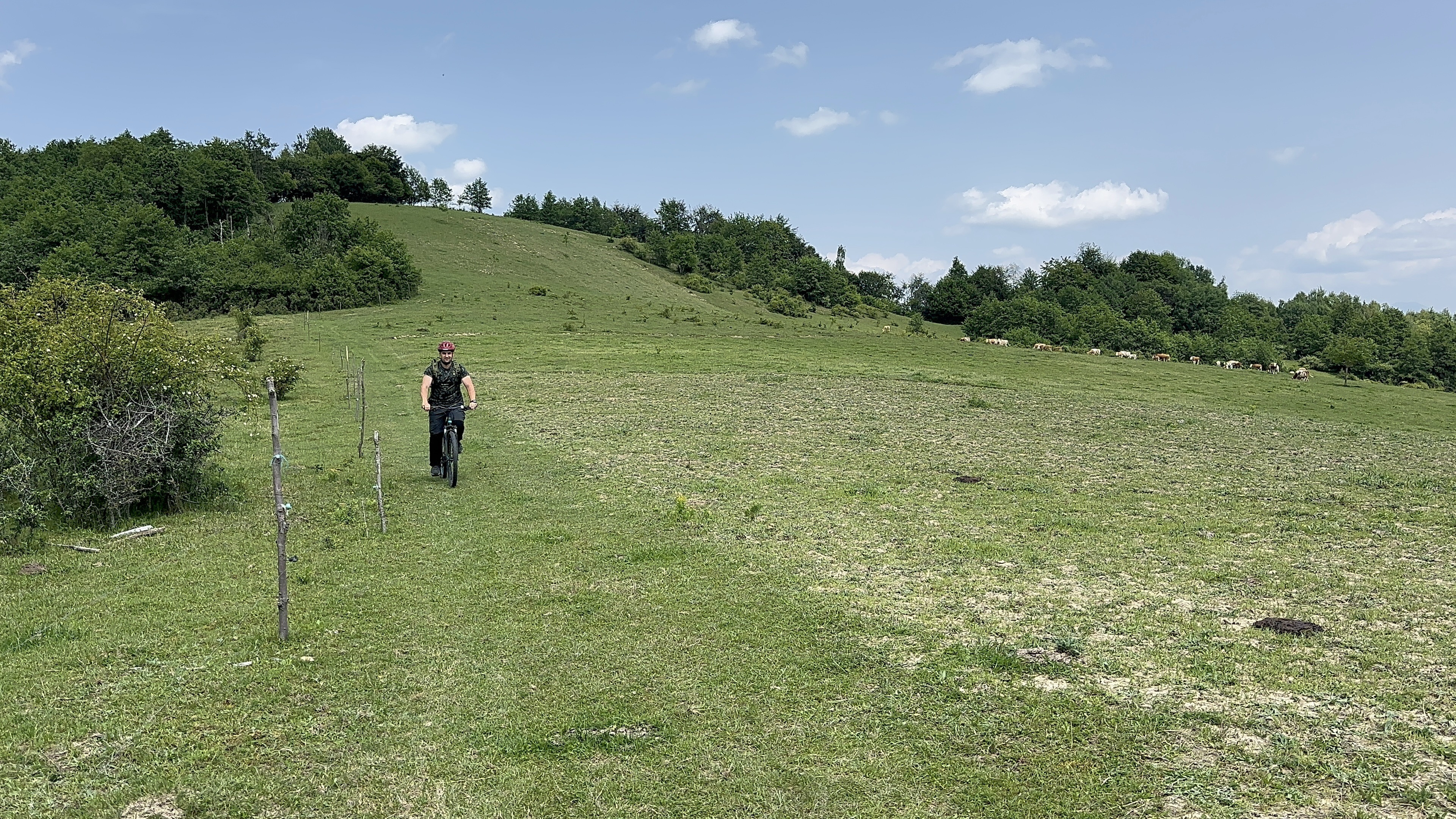 Photo 7 of the Bikemap route "47.433, 24.017 to 47.406, 24.022"