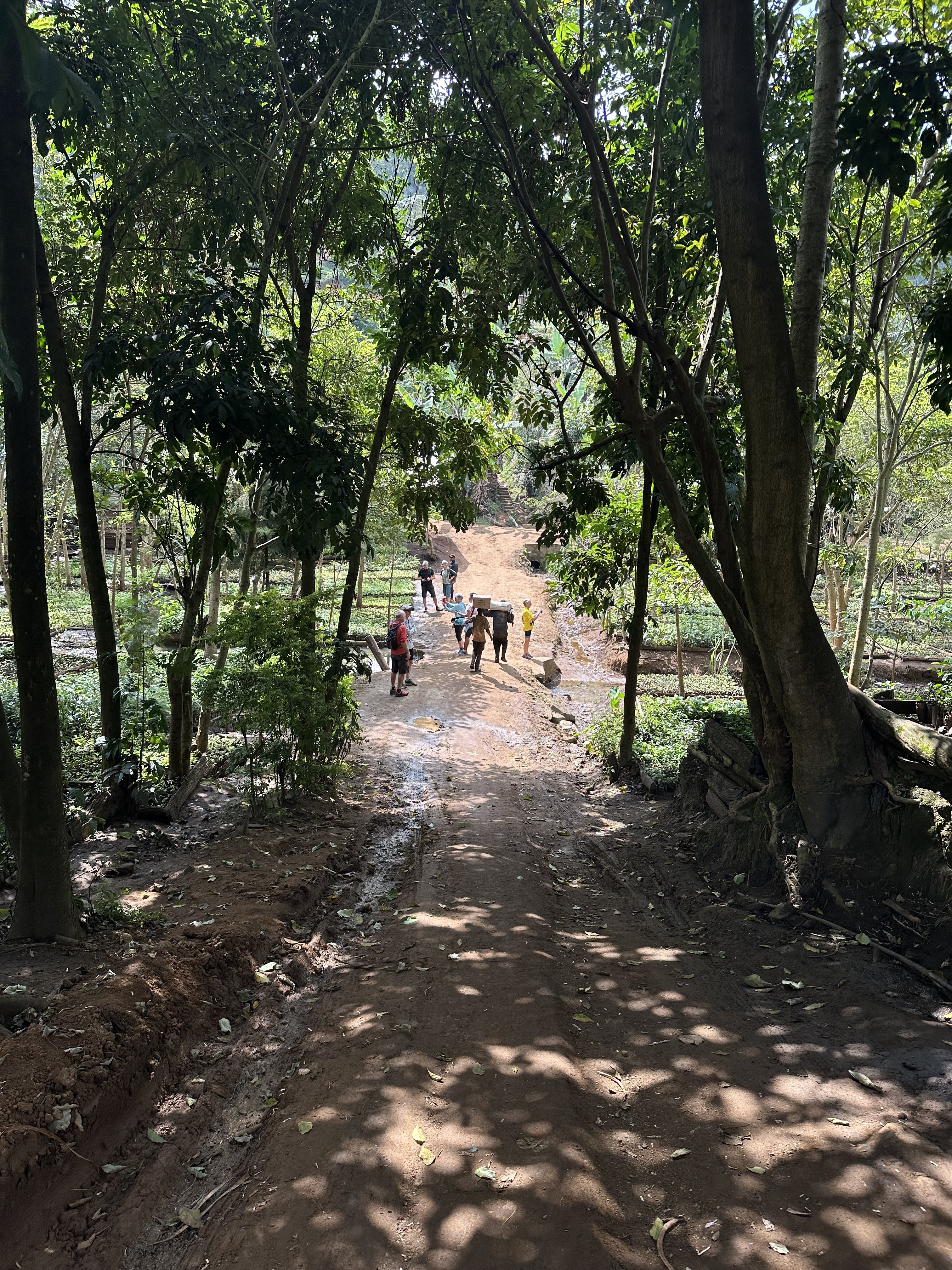 Mbuzii to Lushoto