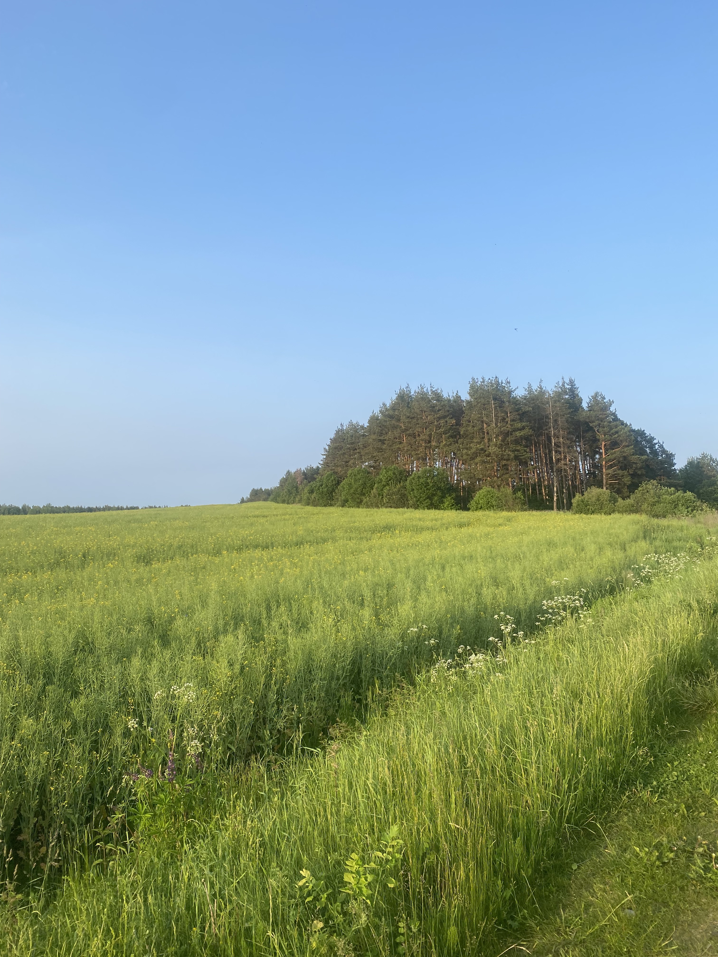 улица 8 Марта, Холопеничский до улица 8 Марта, Холопеничский