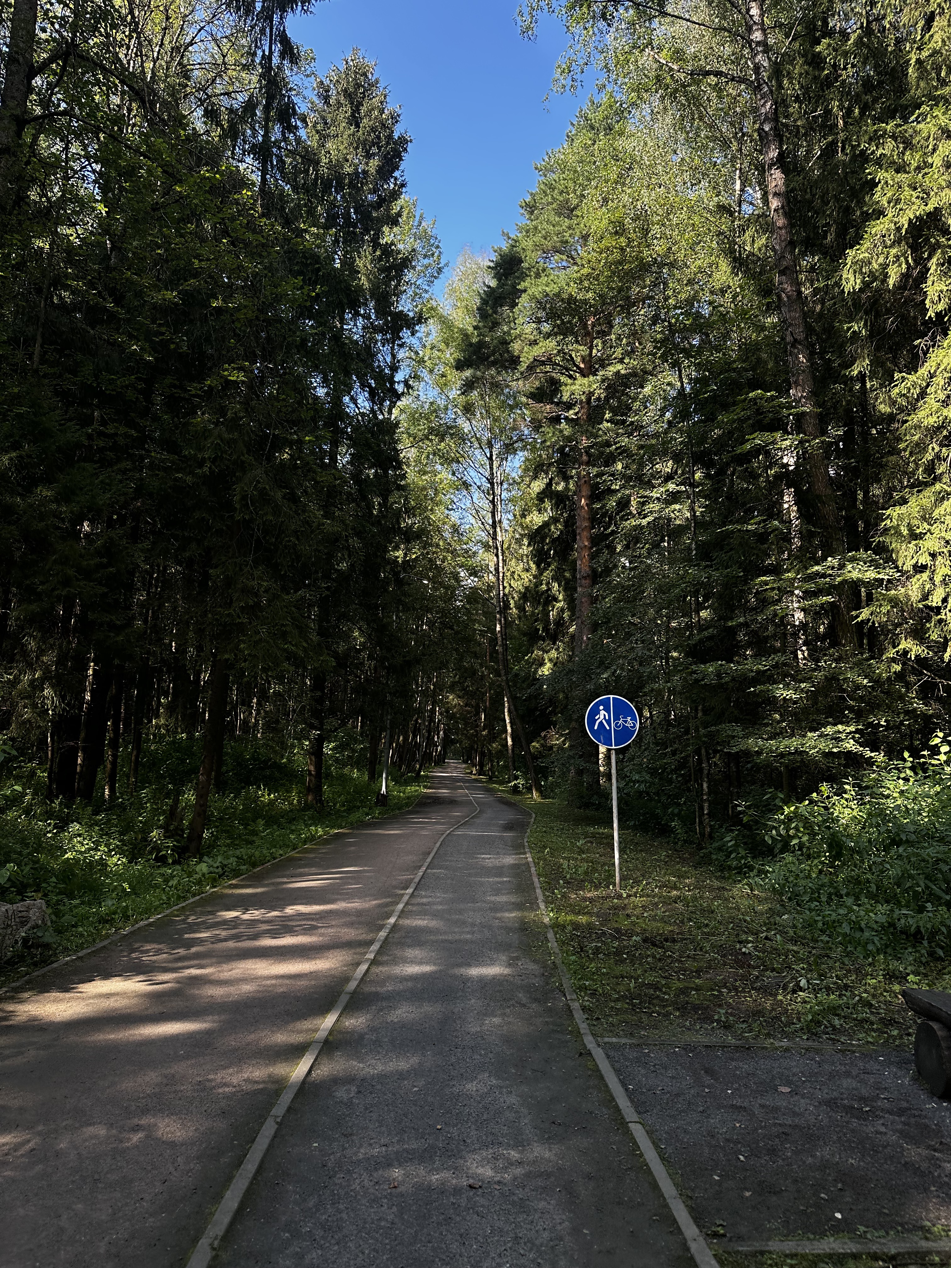 46К-8590, Городской Округ Мытищи до улица Колпакова, Мытищи