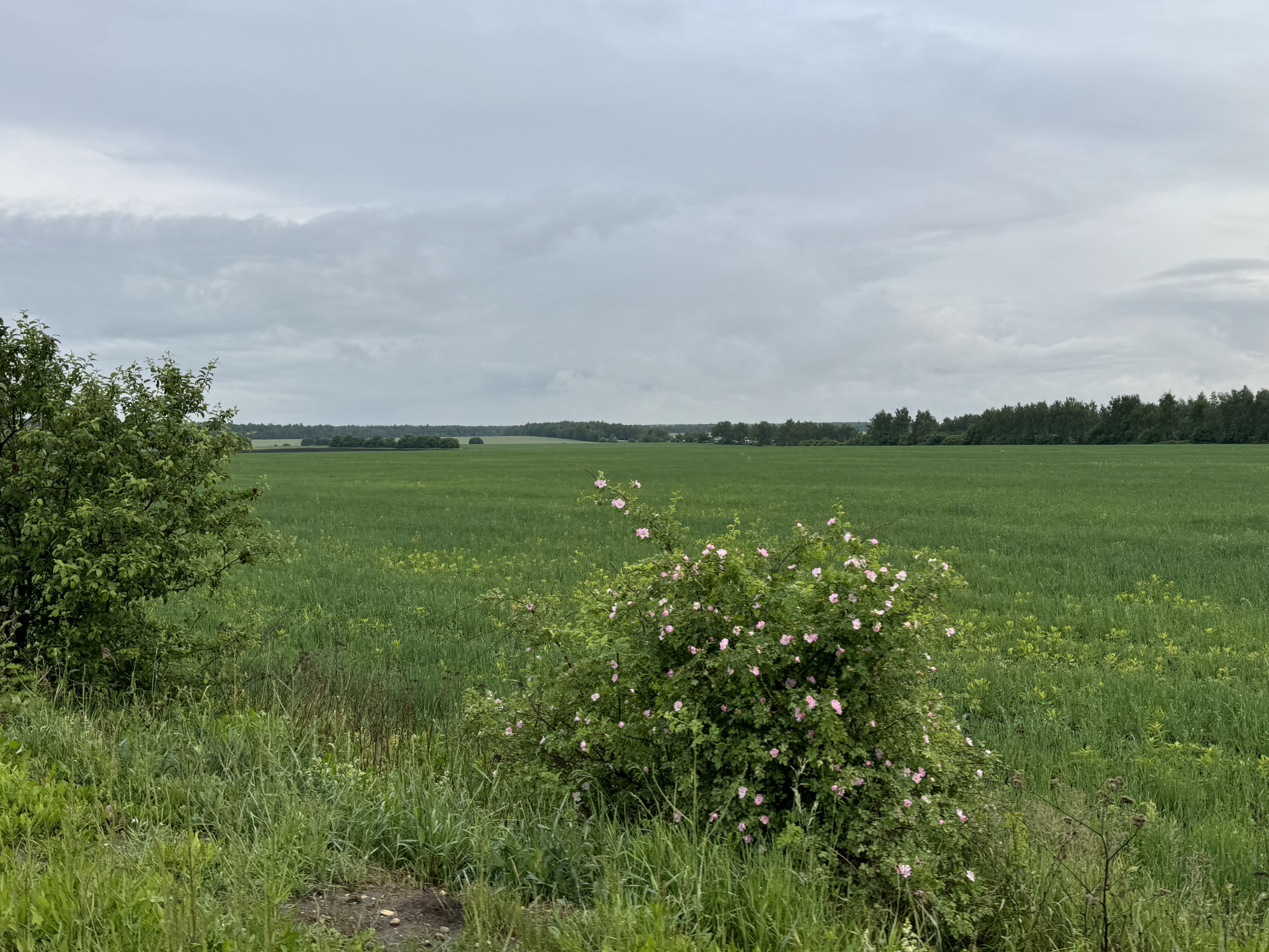 54.245, 38.138 to 53.775, 38.111