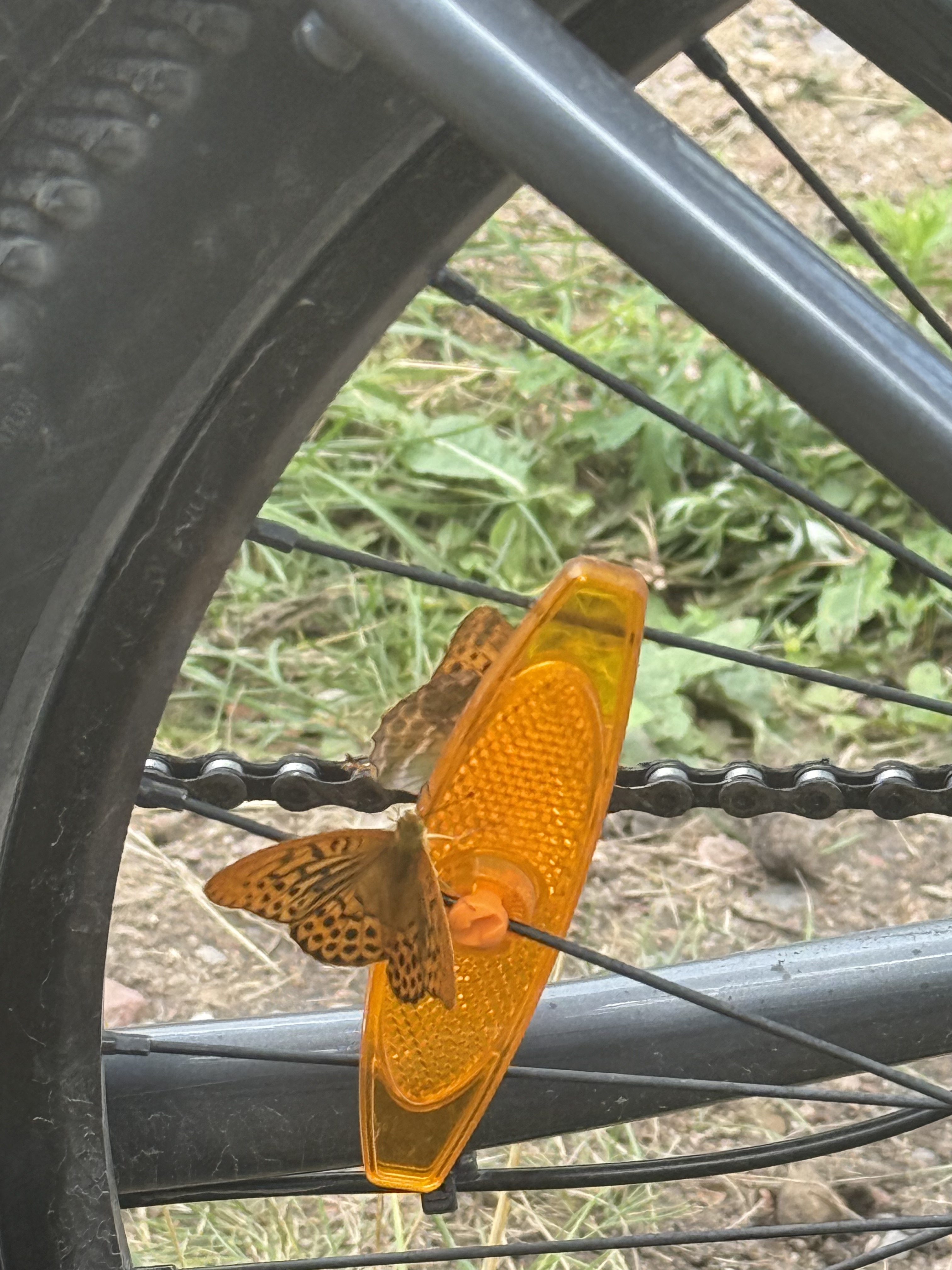 Foto 7 de la ruta de Bikemap "I Daszyńskiego, Suwałki do I Daszyńskiego, Suwałki" Foto 7 de la ruta de Bikemap "I Daszyńskiego, Suwałki do I Daszyńskiego, Suwałki"