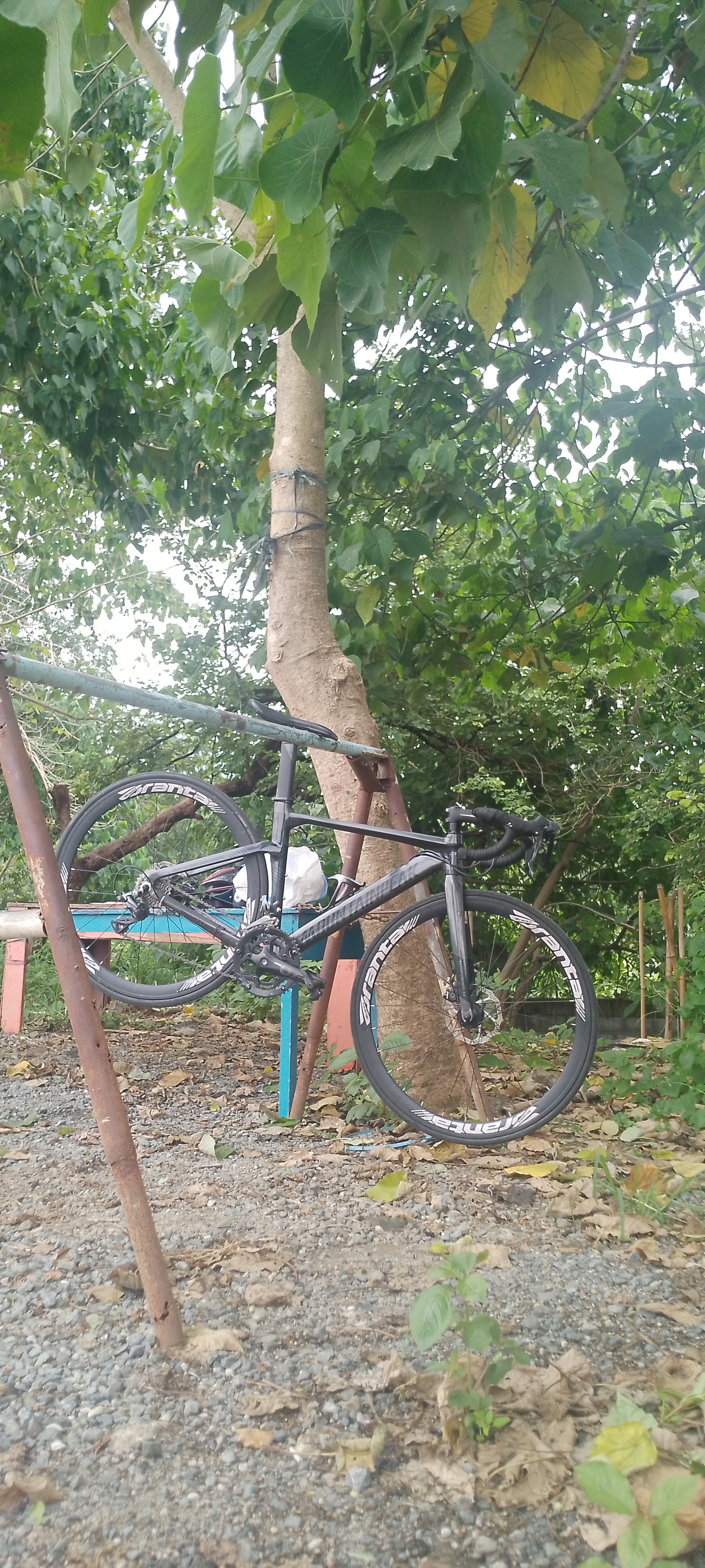 Solo ride