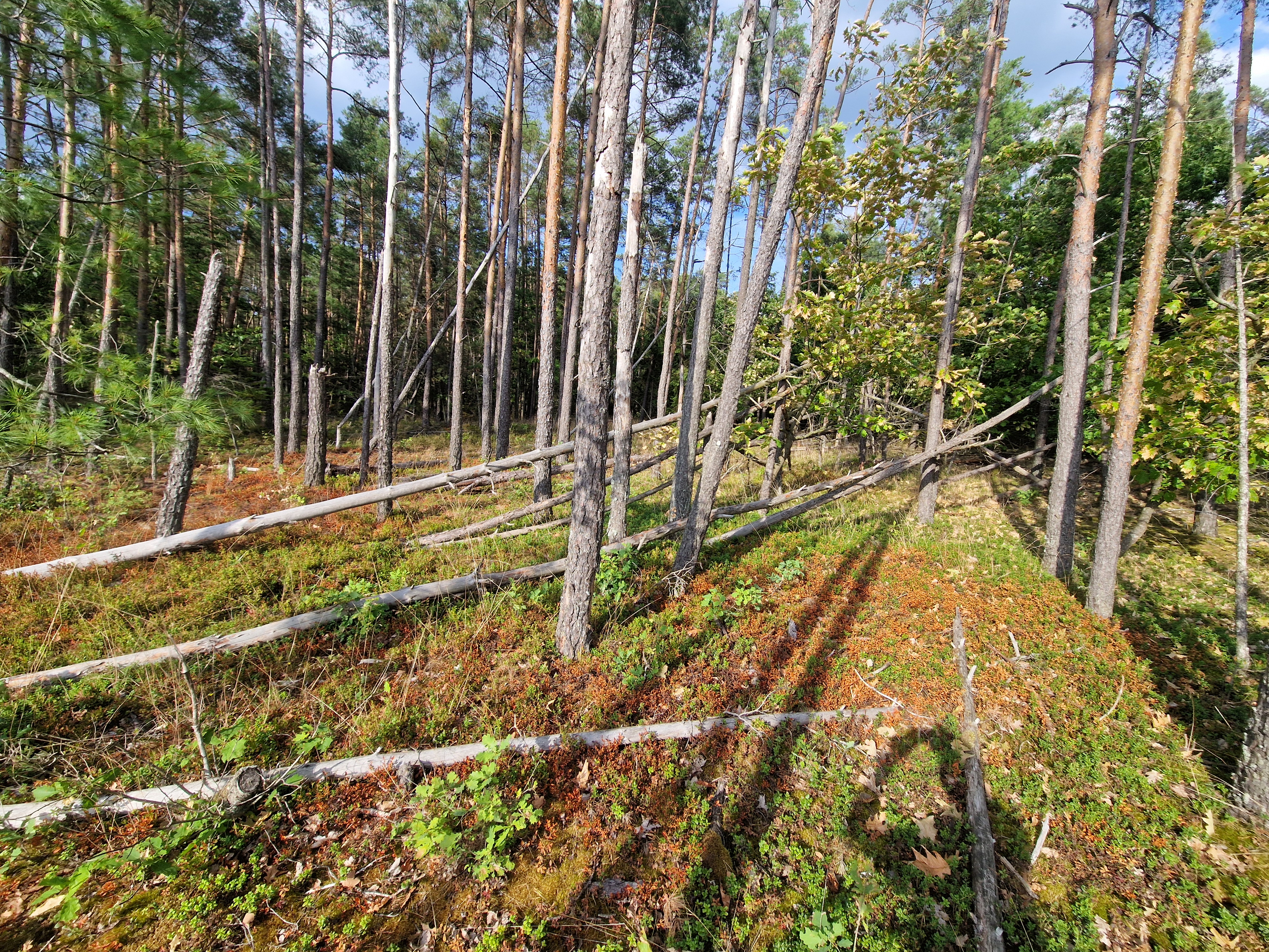 Straße Ohne Straßennamen nach Gollermühle