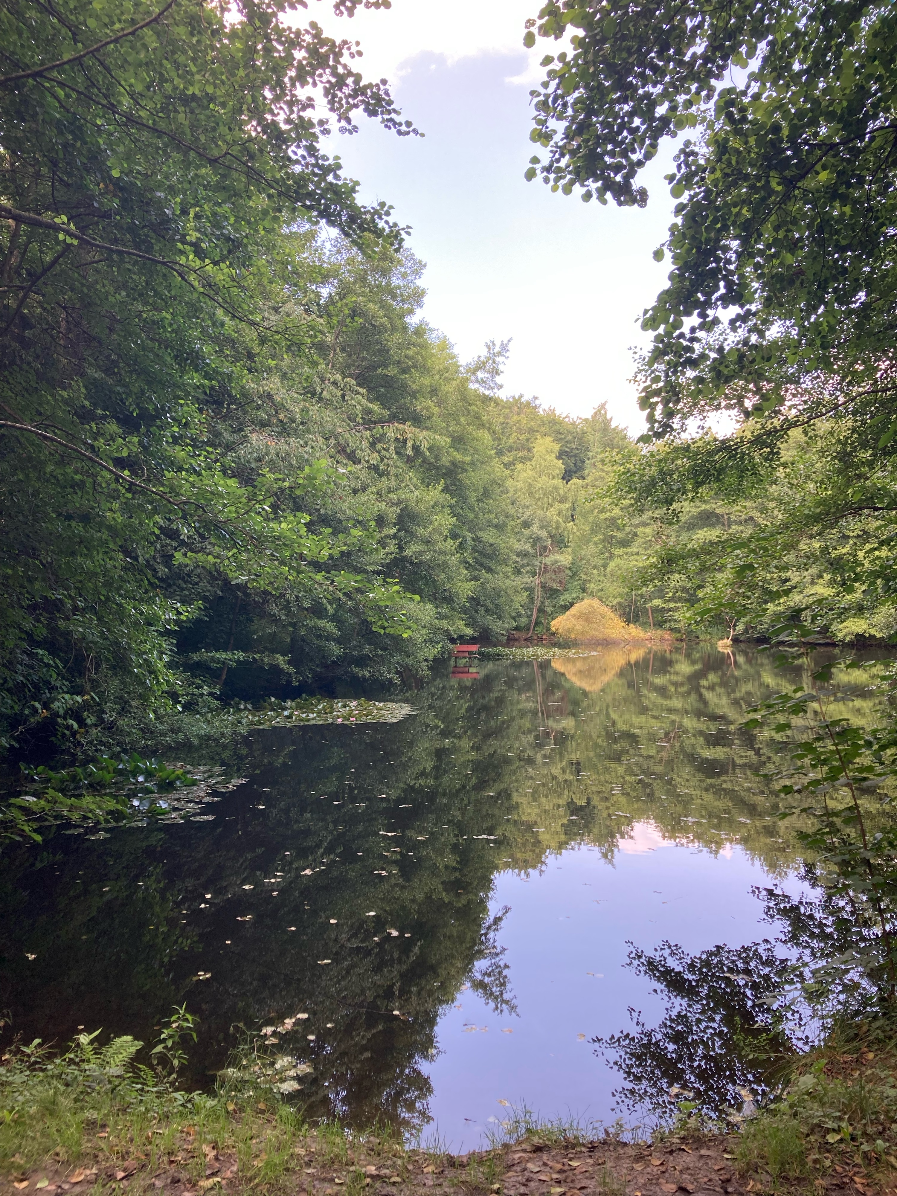 Arnsberg Ruhrradweg bis Meschede