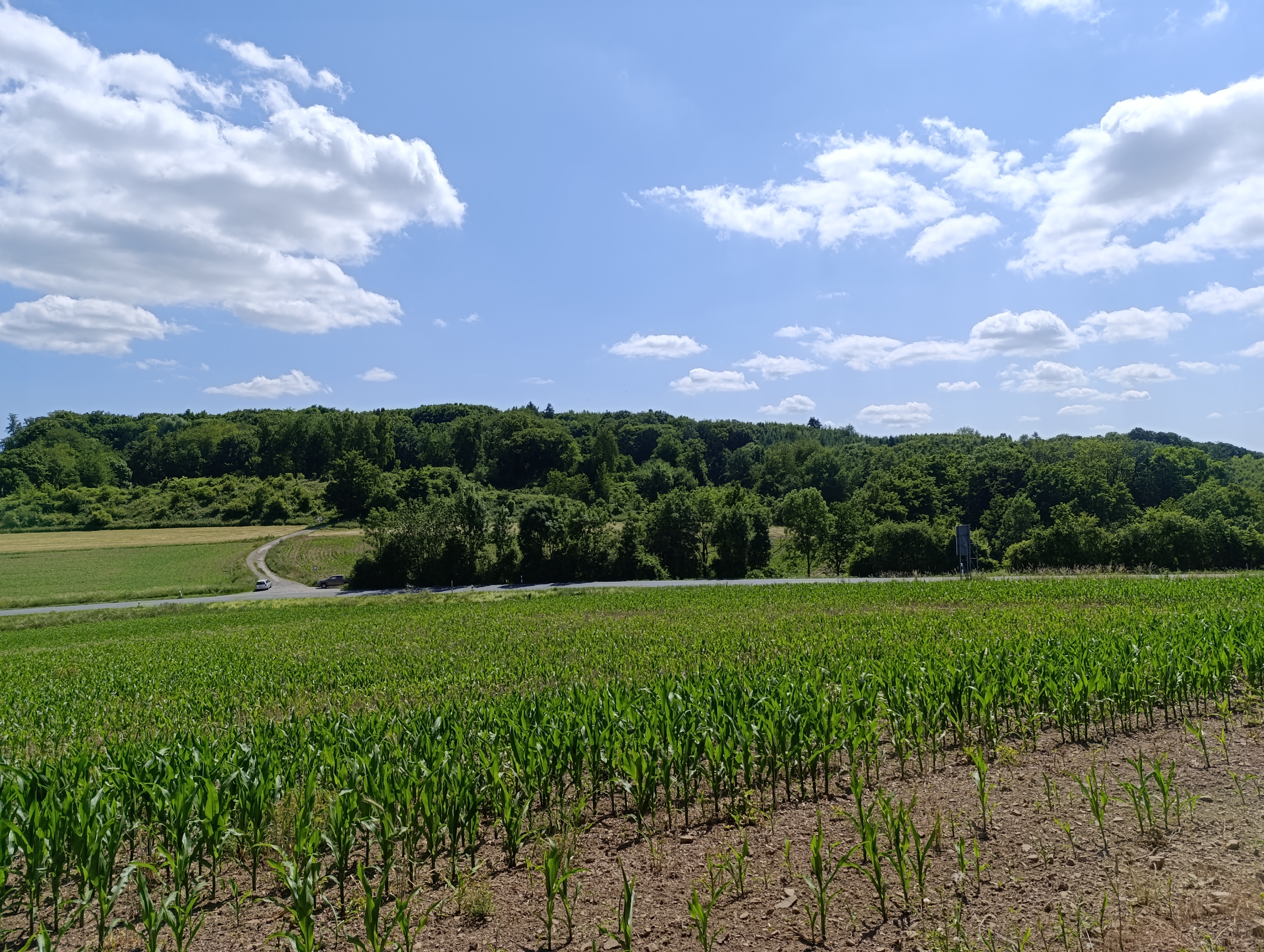 Hengsteysee Ergste Lethmate Elsey