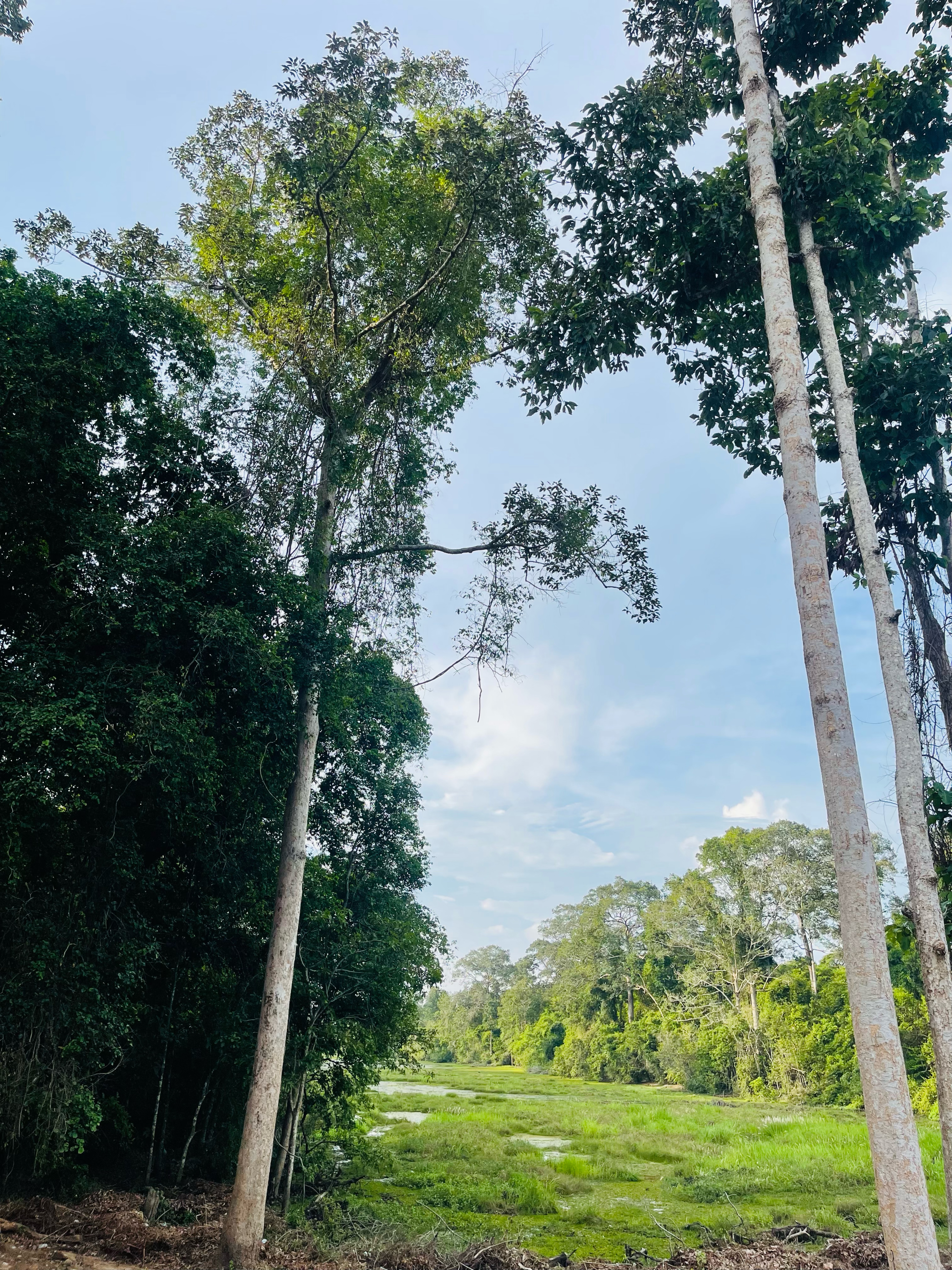 Wat Damnak Road, Siem Reap to Wat Damnak Road, Siem Reap