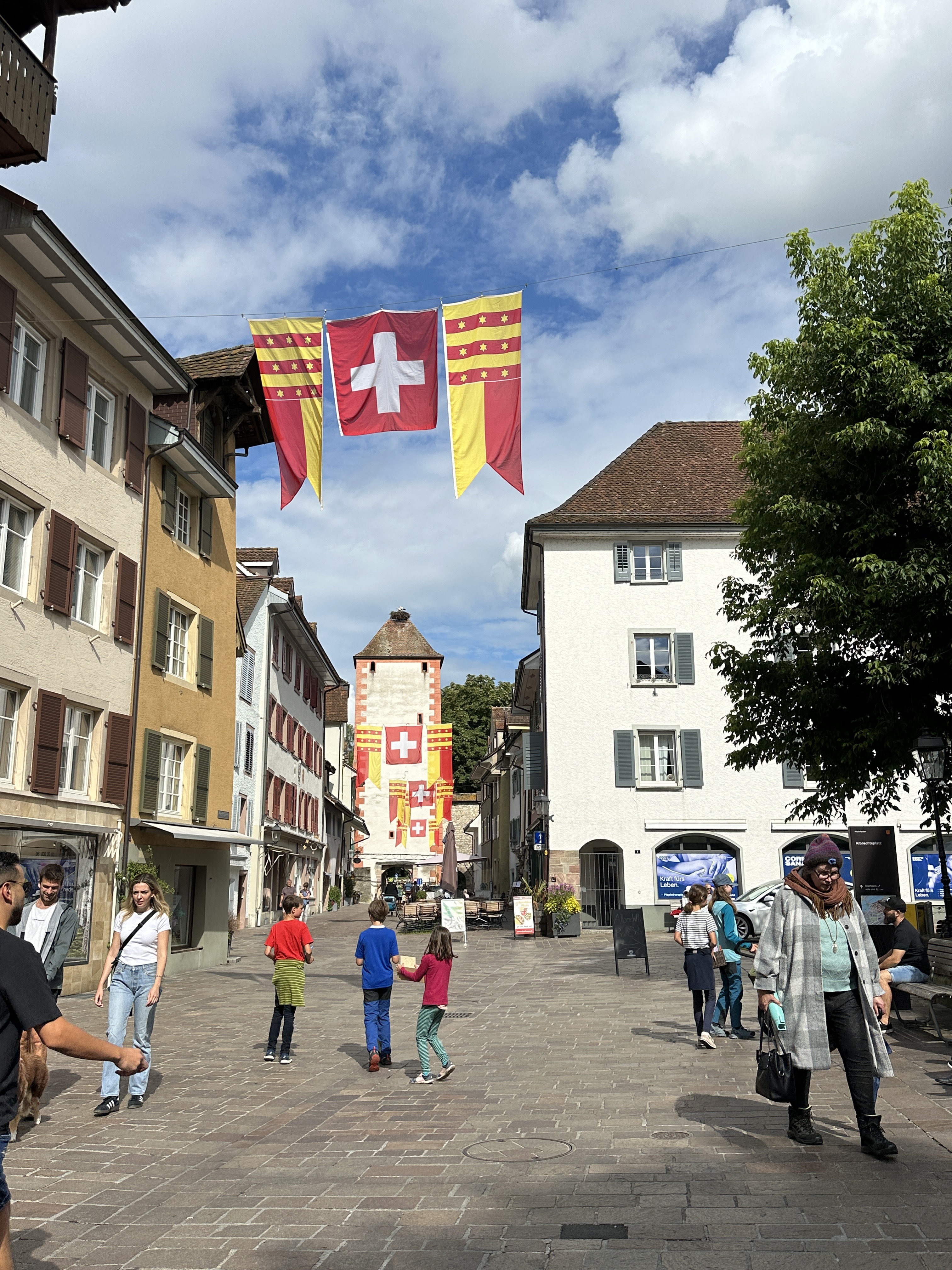 Photo 8 de l’itinéraire Bikemap « Schaffhauser Straße, Waldshut-Tiengen to Schönbeinstrasse, Basel »