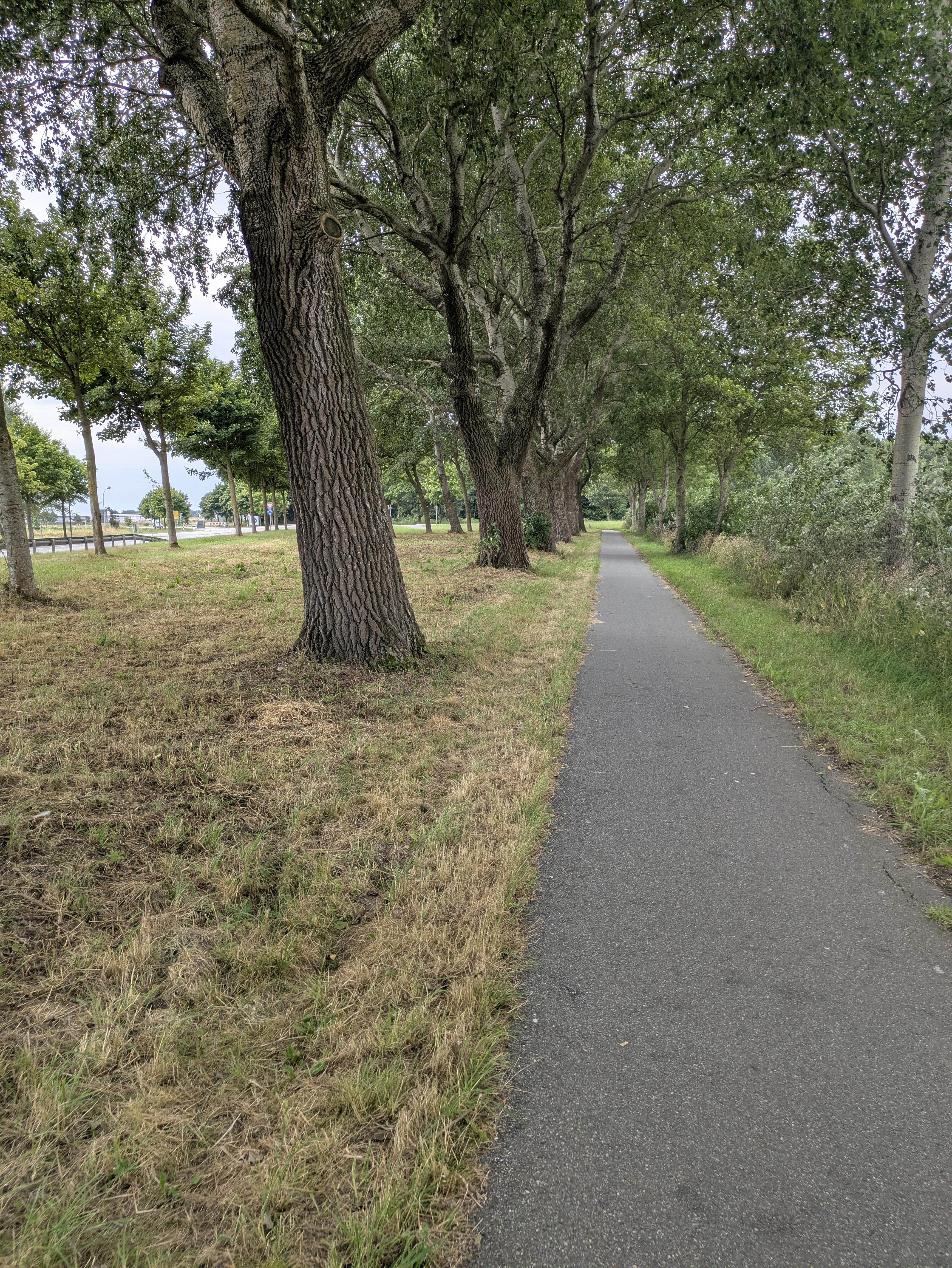 Peter-Schmidts-Weg nach Peter-Schmidts-Weg